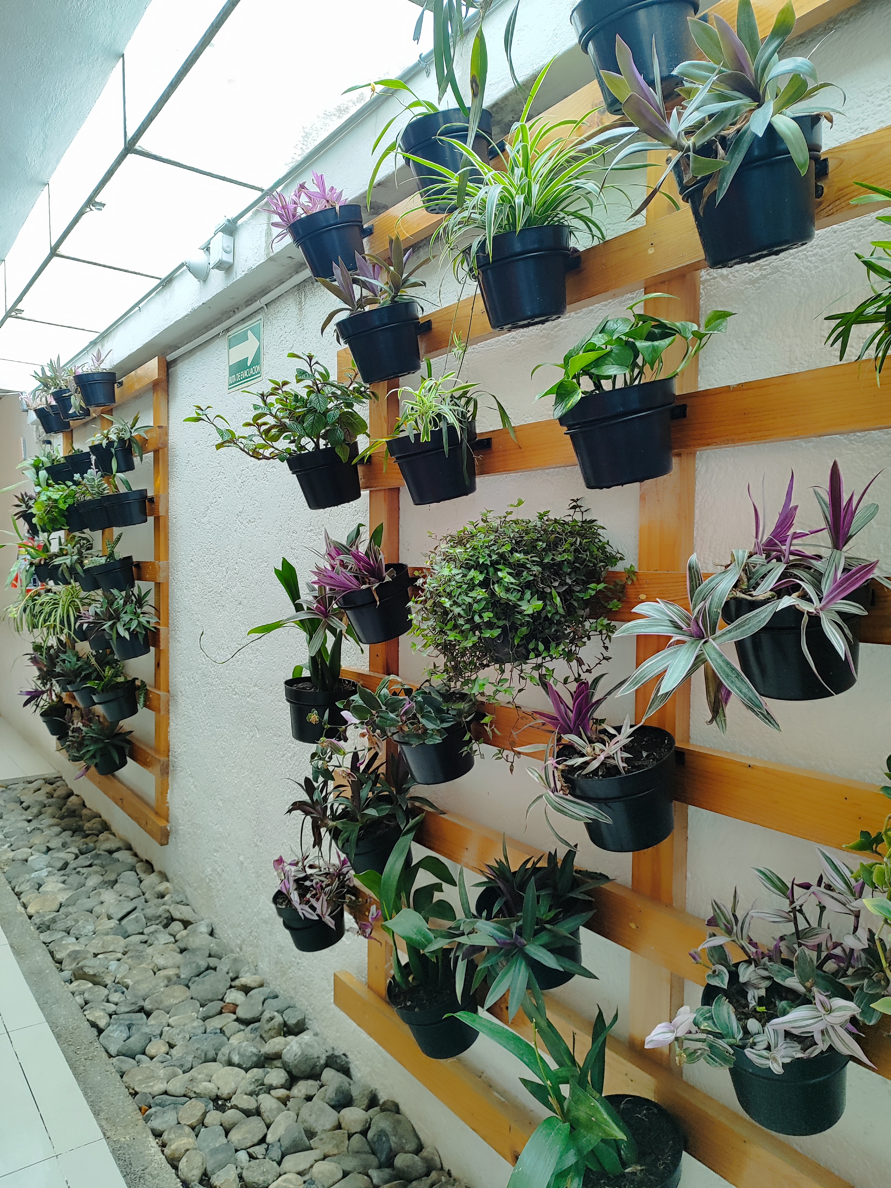 Fragola Restaurante image 10