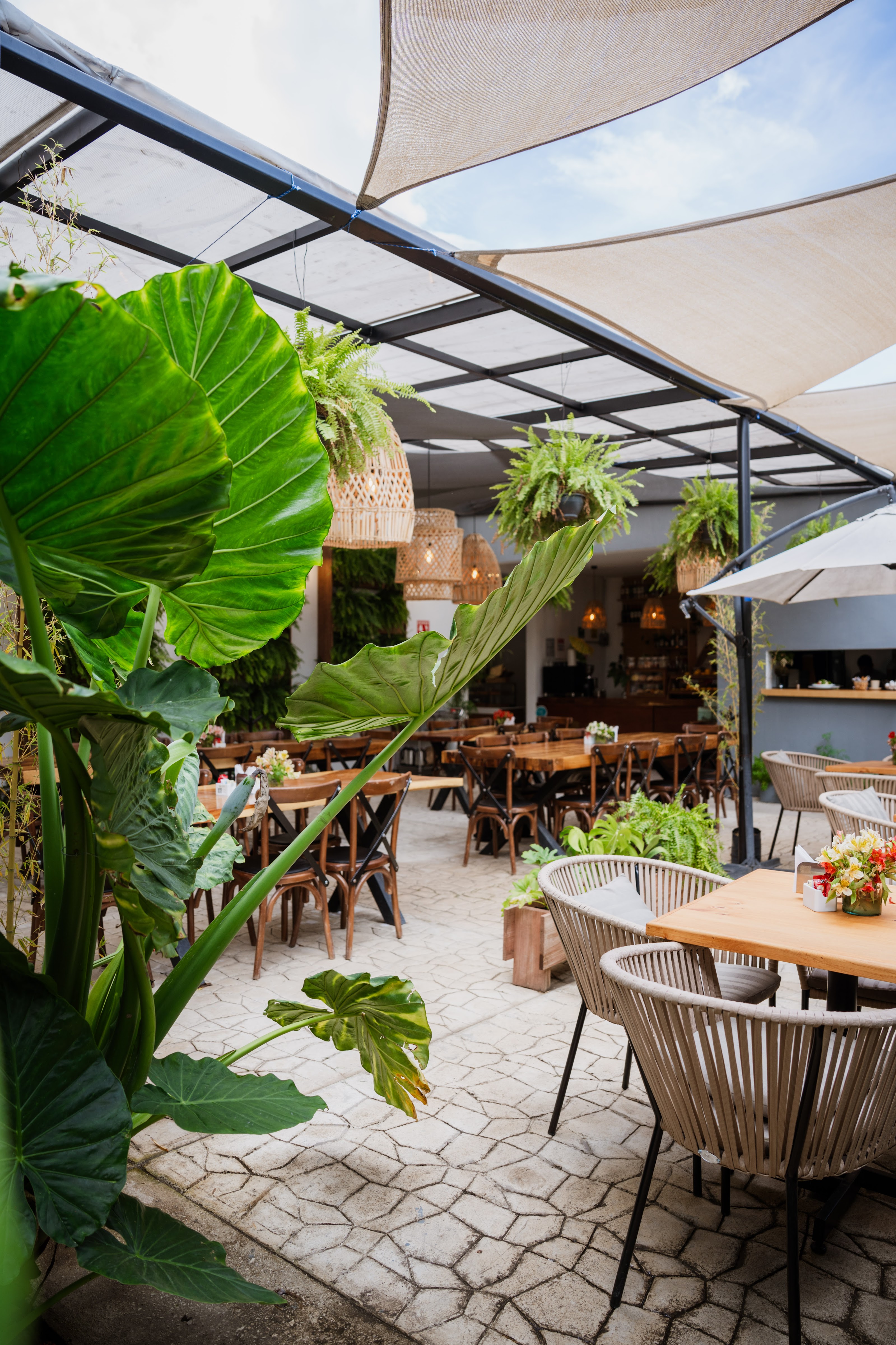 ARÁNDANO RESTAURANT image 1