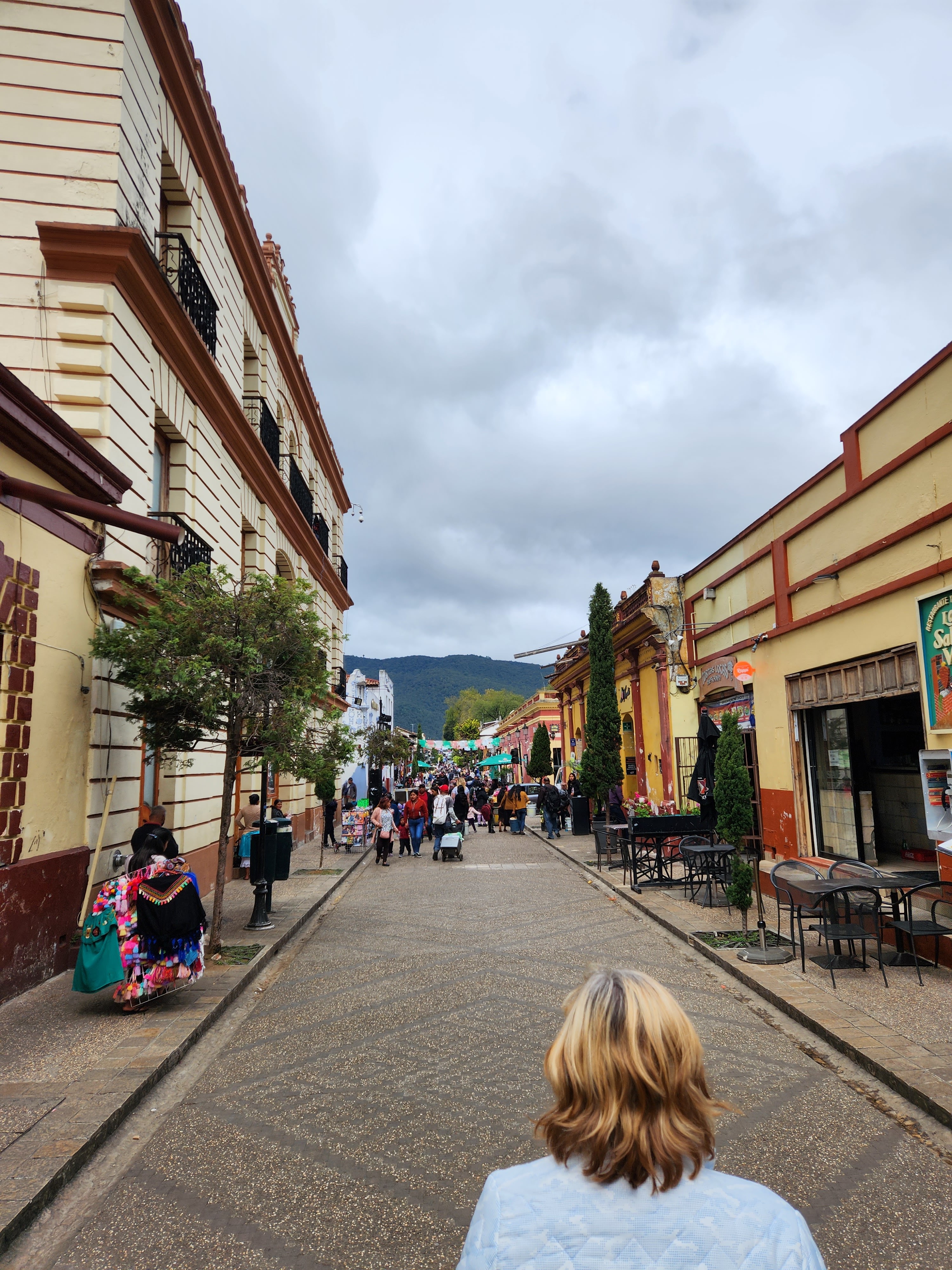 Restaurante La Salsa Verde image 7