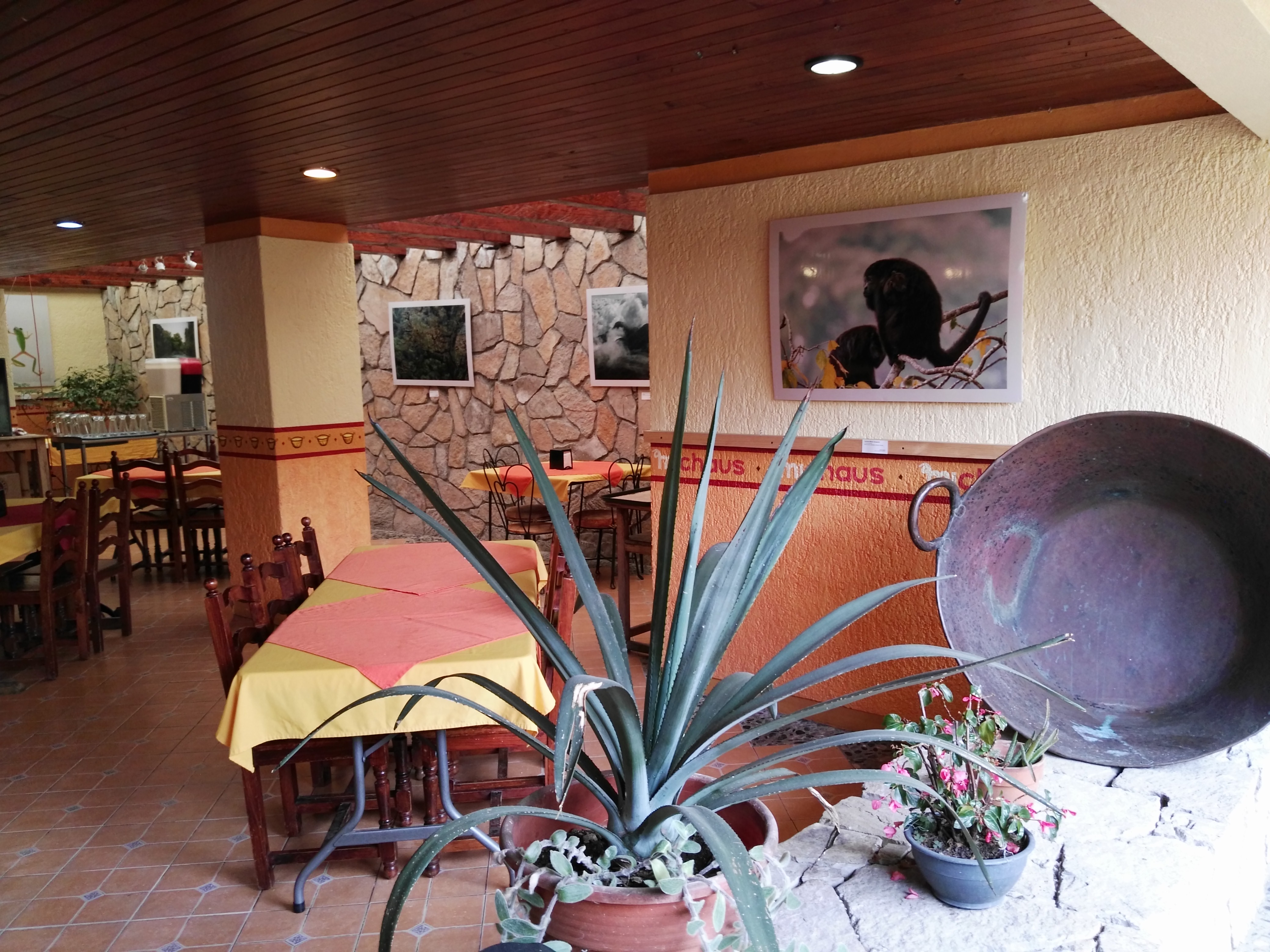 Restaurante y Carnitas Michaus image 7