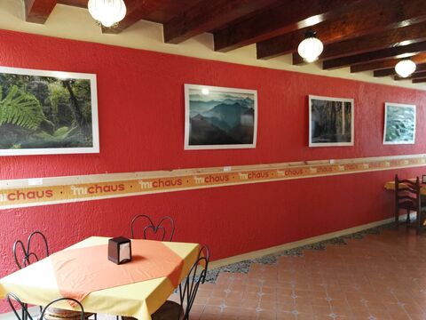 Restaurante y Carnitas Michaus image 8