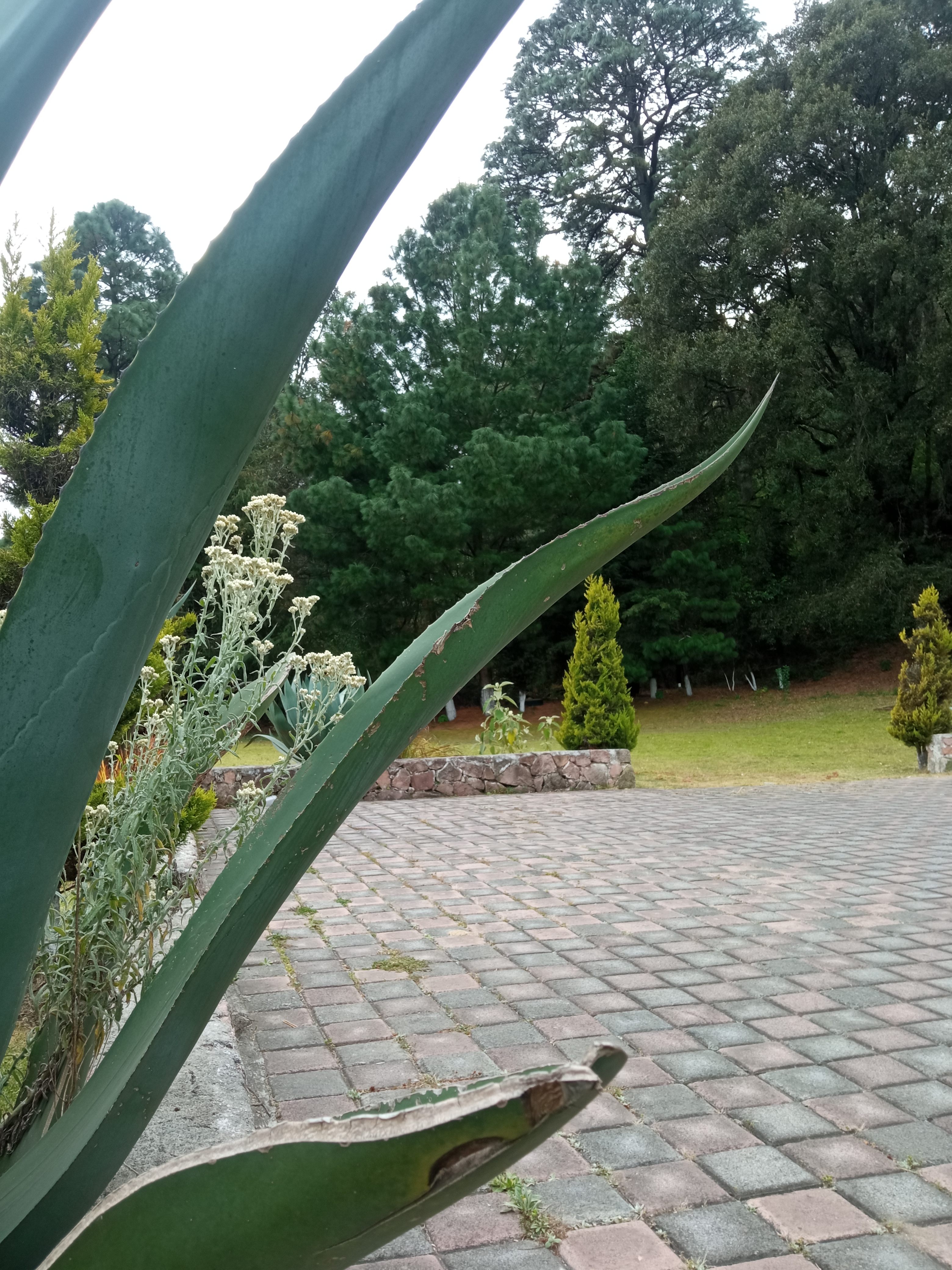 La Cabaña de Don Pancho image 10