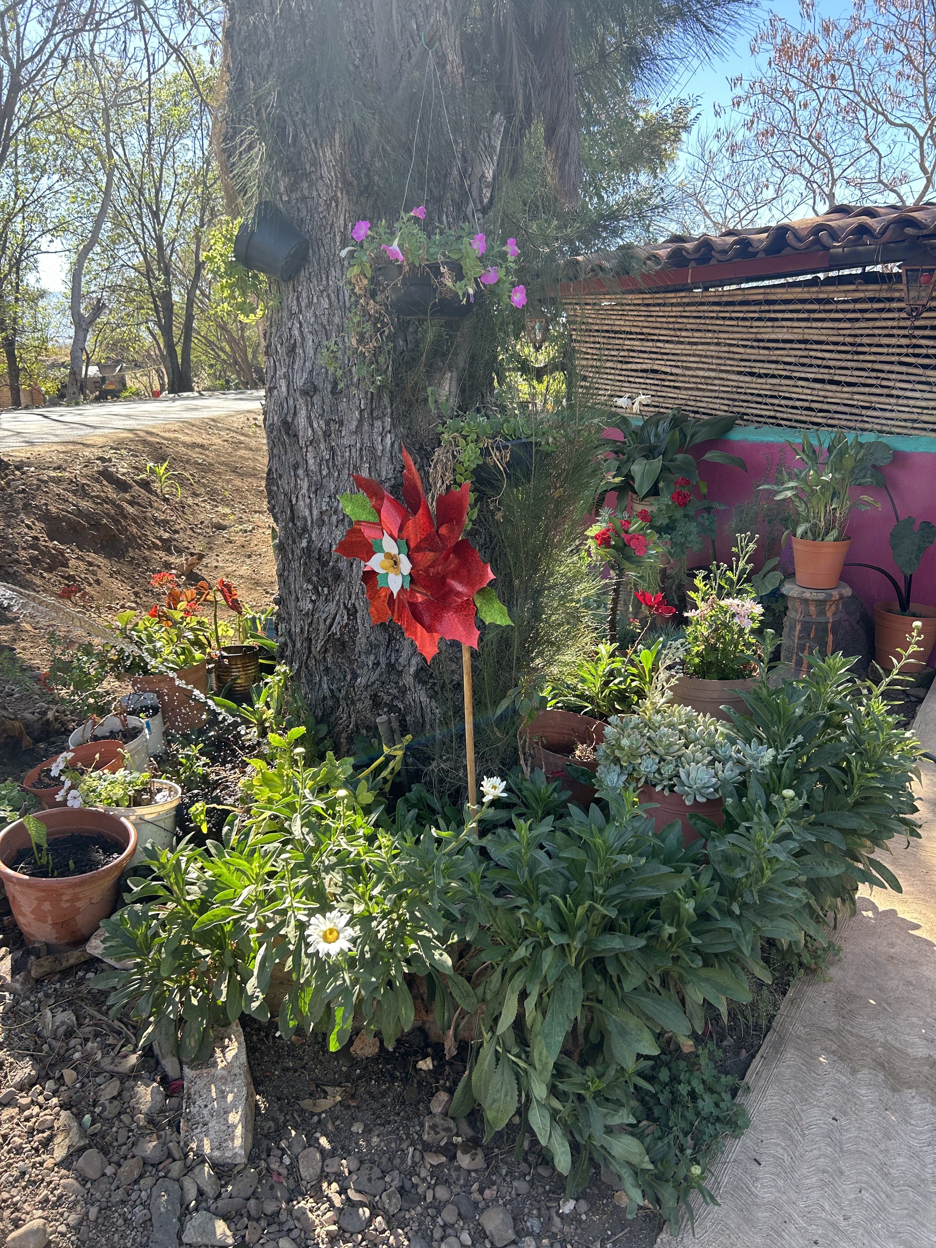 Rinconcito Casero image 5