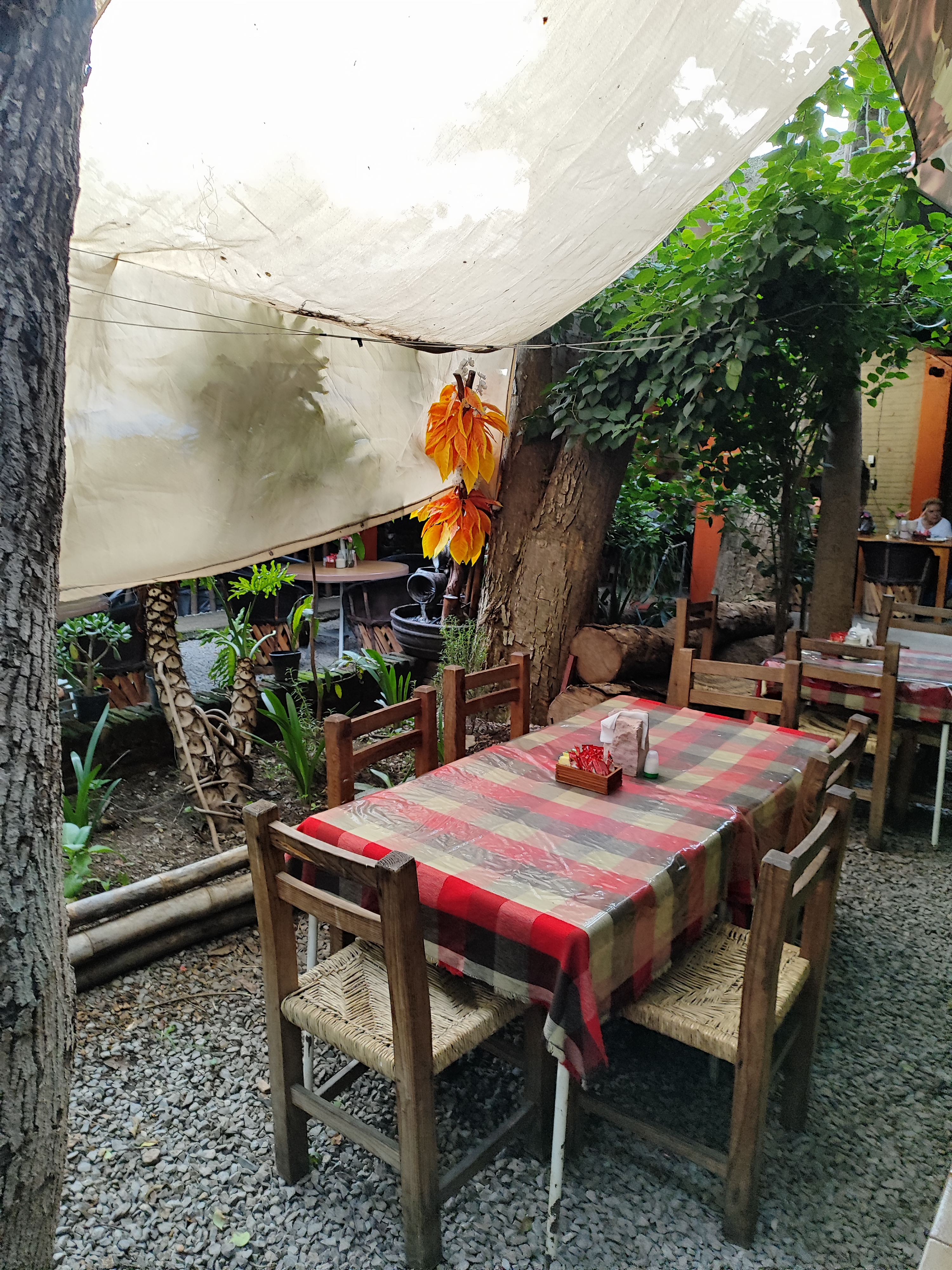 Restaurante Terra Mía image 1