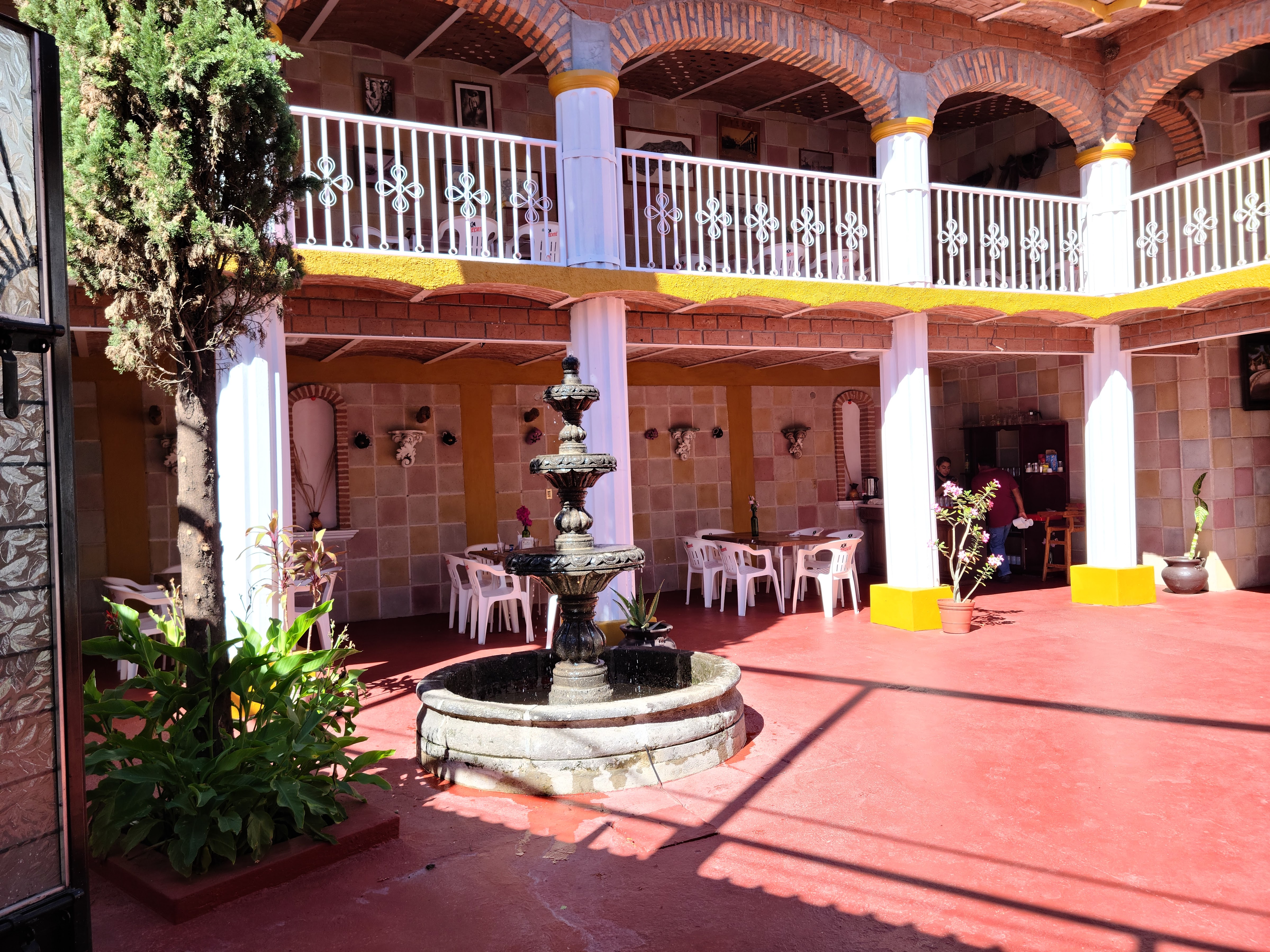 Restaurante Terra Mía image 5