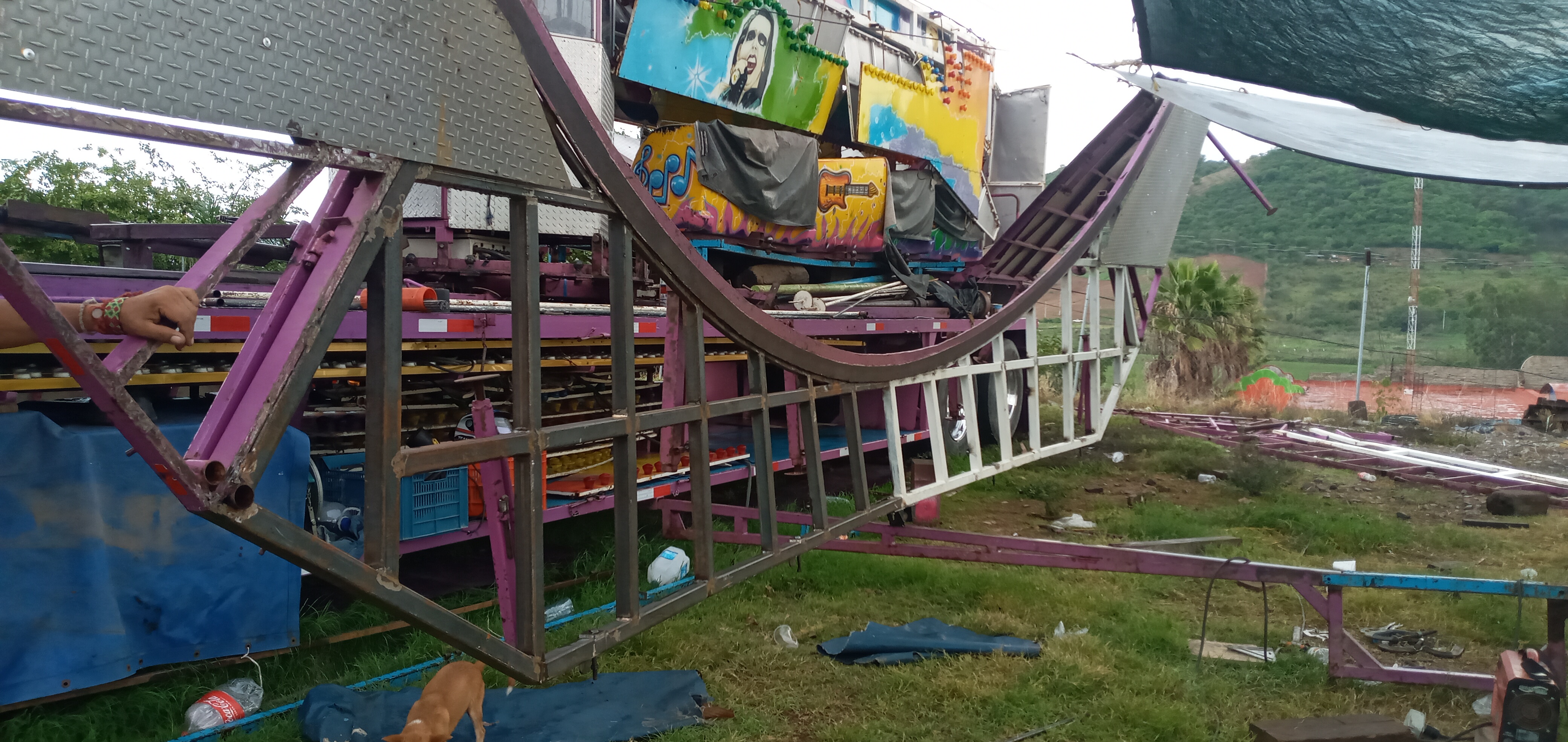 Restaurant El Palmar image 8