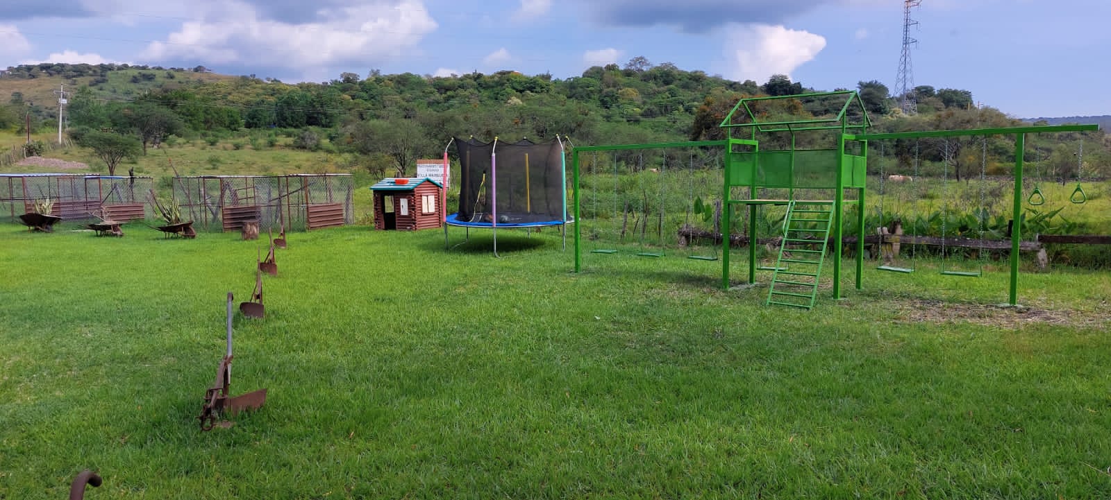 Pavorreales restaurante image 4