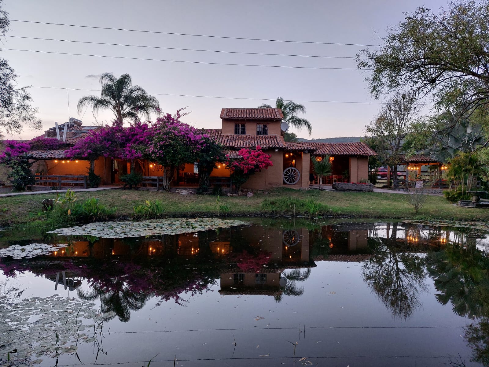 Pavorreales restaurante image 6