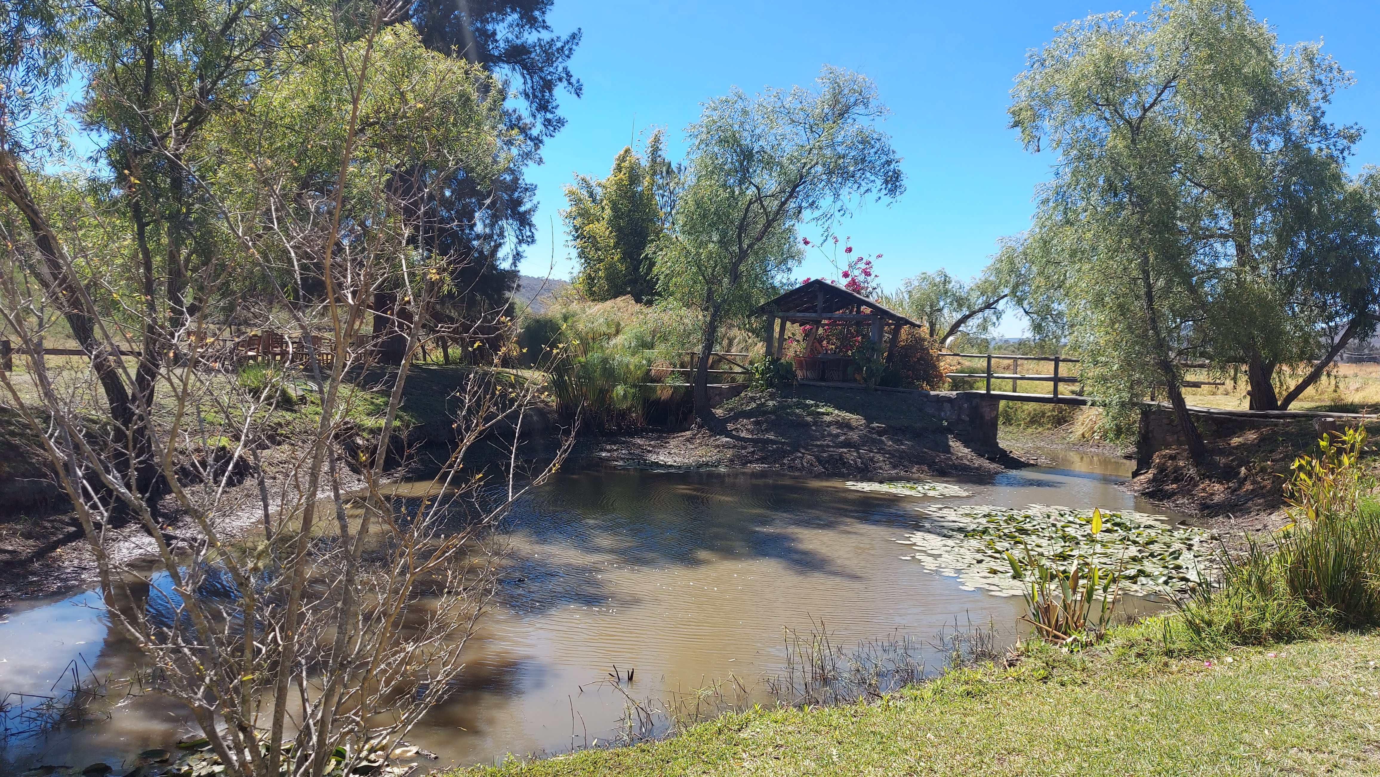 Pavorreales restaurante image 9