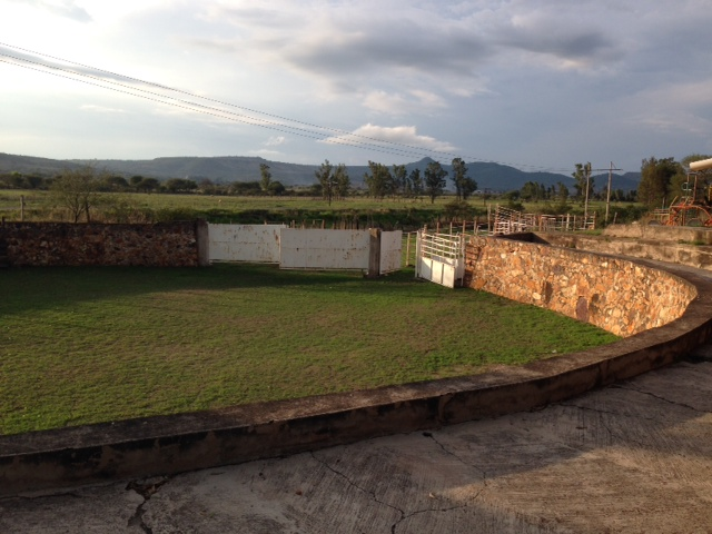 Restaurant Campestre LA HACIENDA image 4