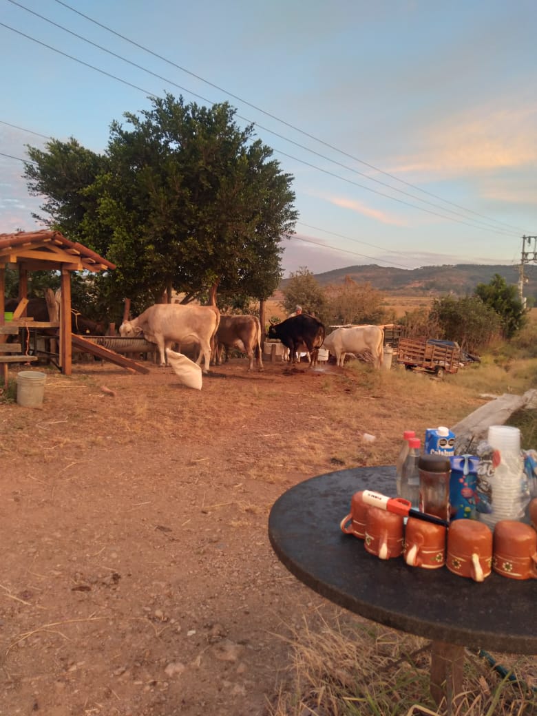 Restaurant "Los Pajaretes" image 3