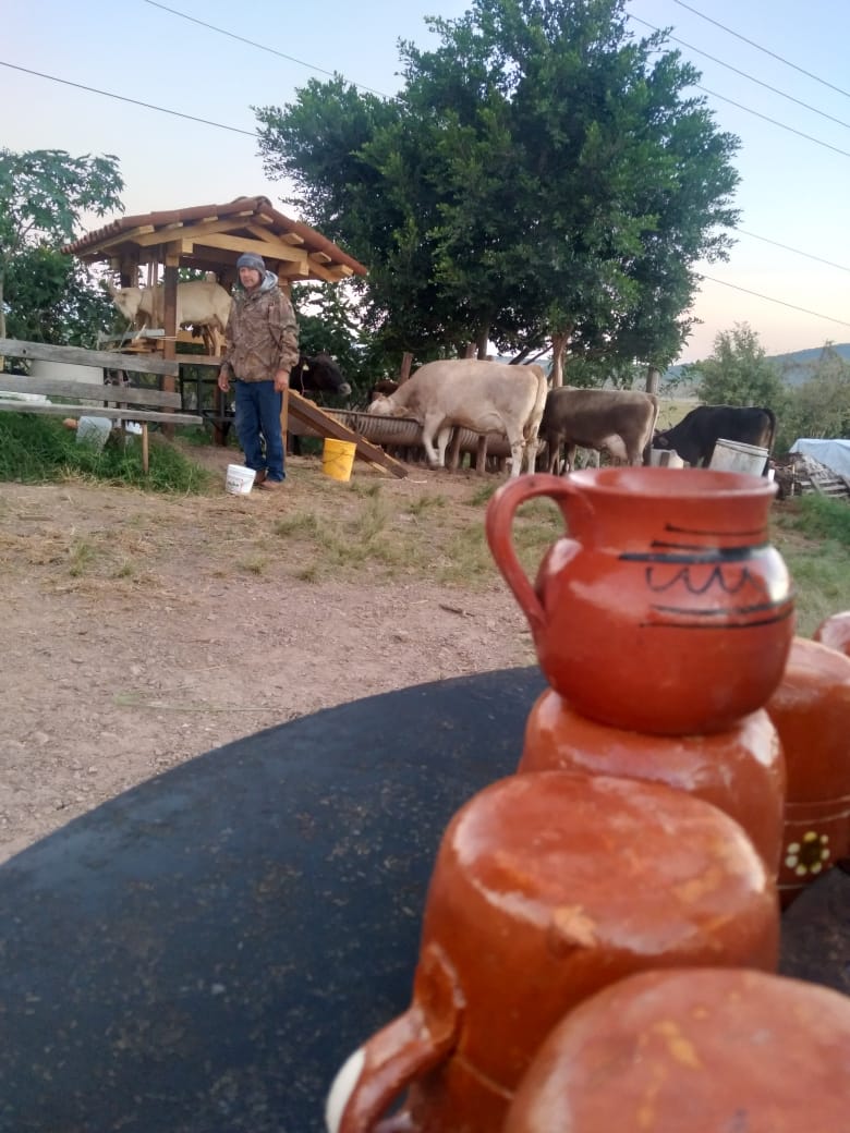 Restaurant "Los Pajaretes" image 4