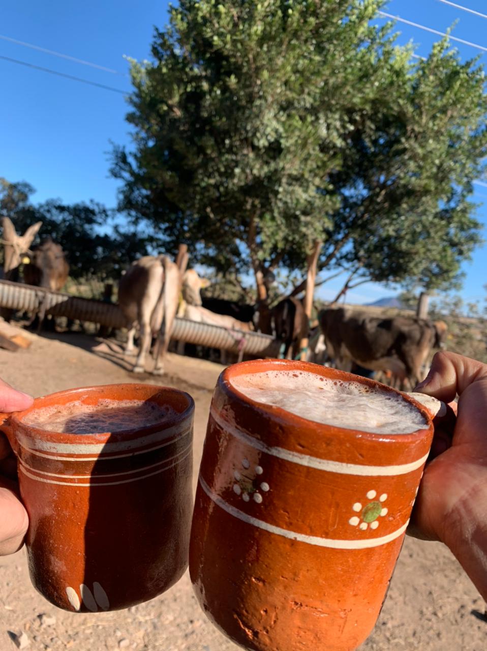 Restaurant "Los Pajaretes" image 5