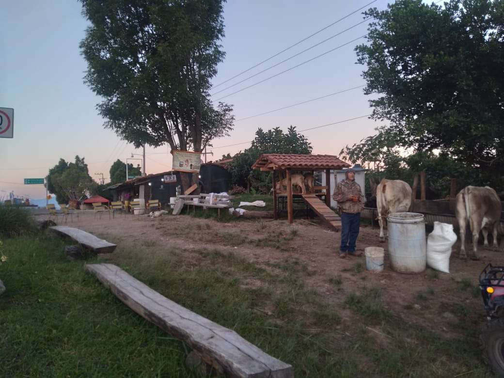 Restaurant "Los Pajaretes" image 7