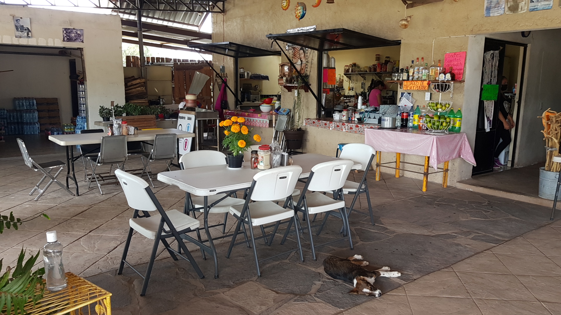 Sierra Mixtlan Mexican Restaurant image 7