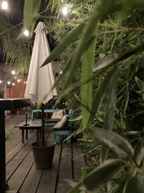 Bamboo image 8