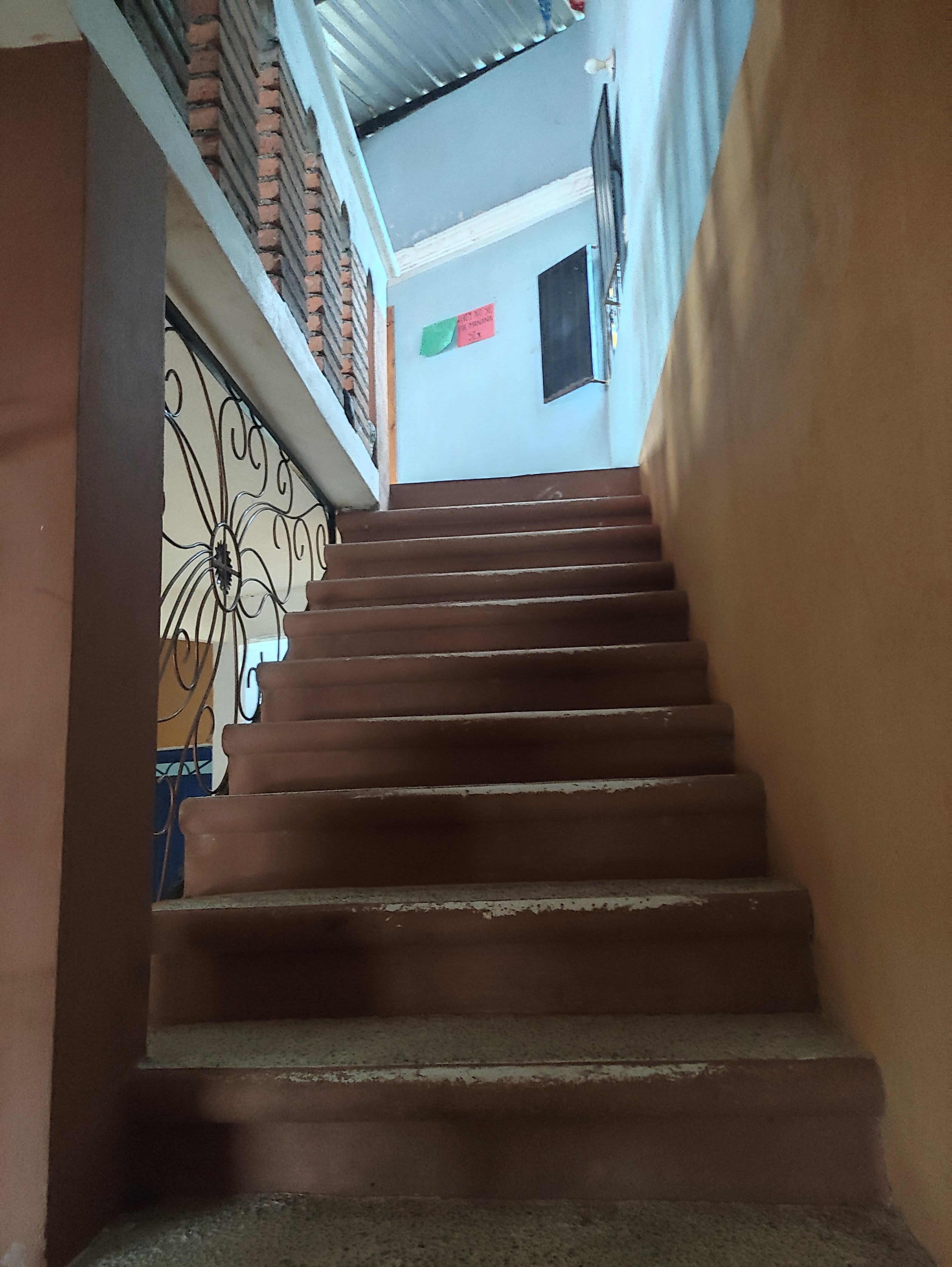 La Terraza . Punto y Coma , image 4