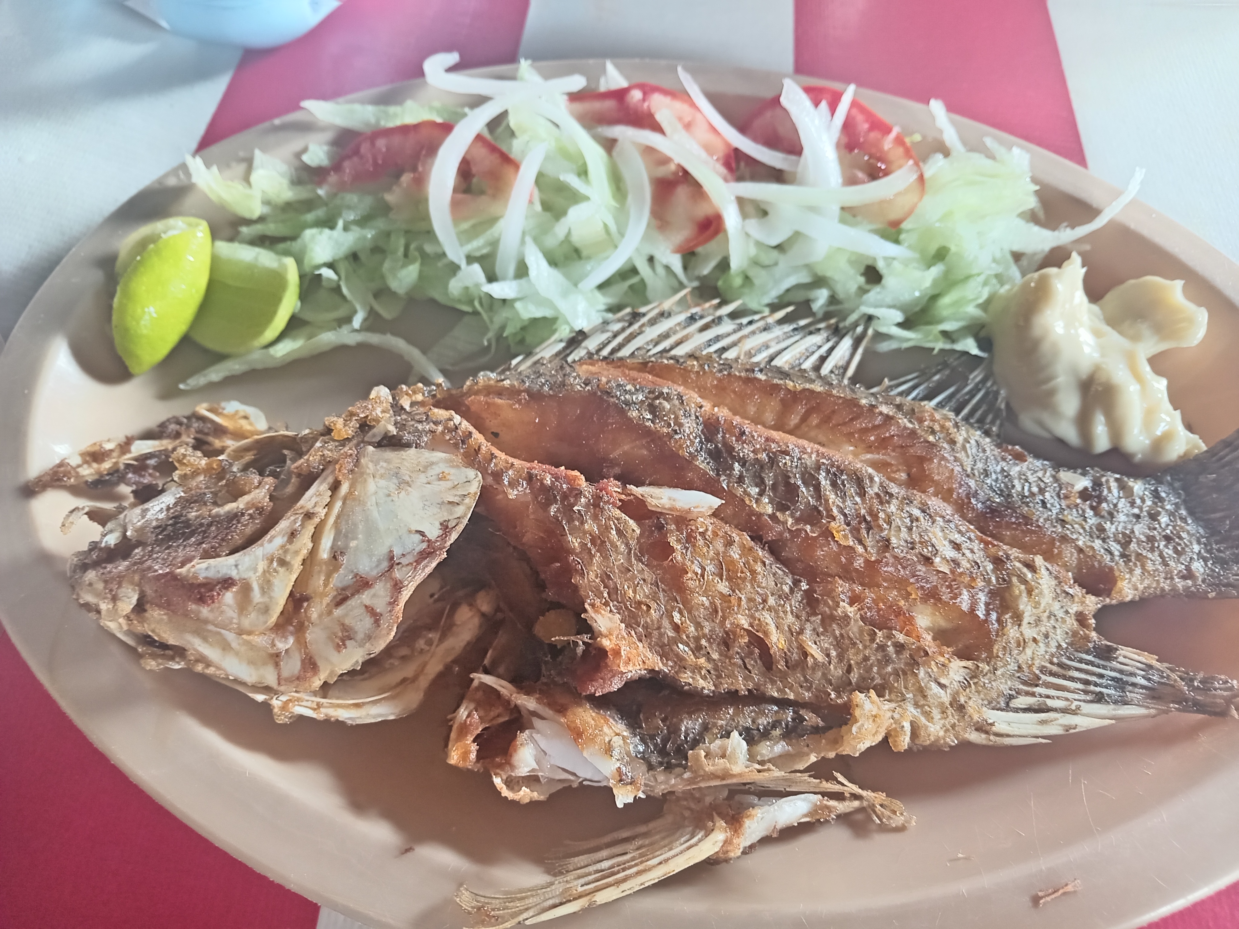 Comedor Guevara image 10