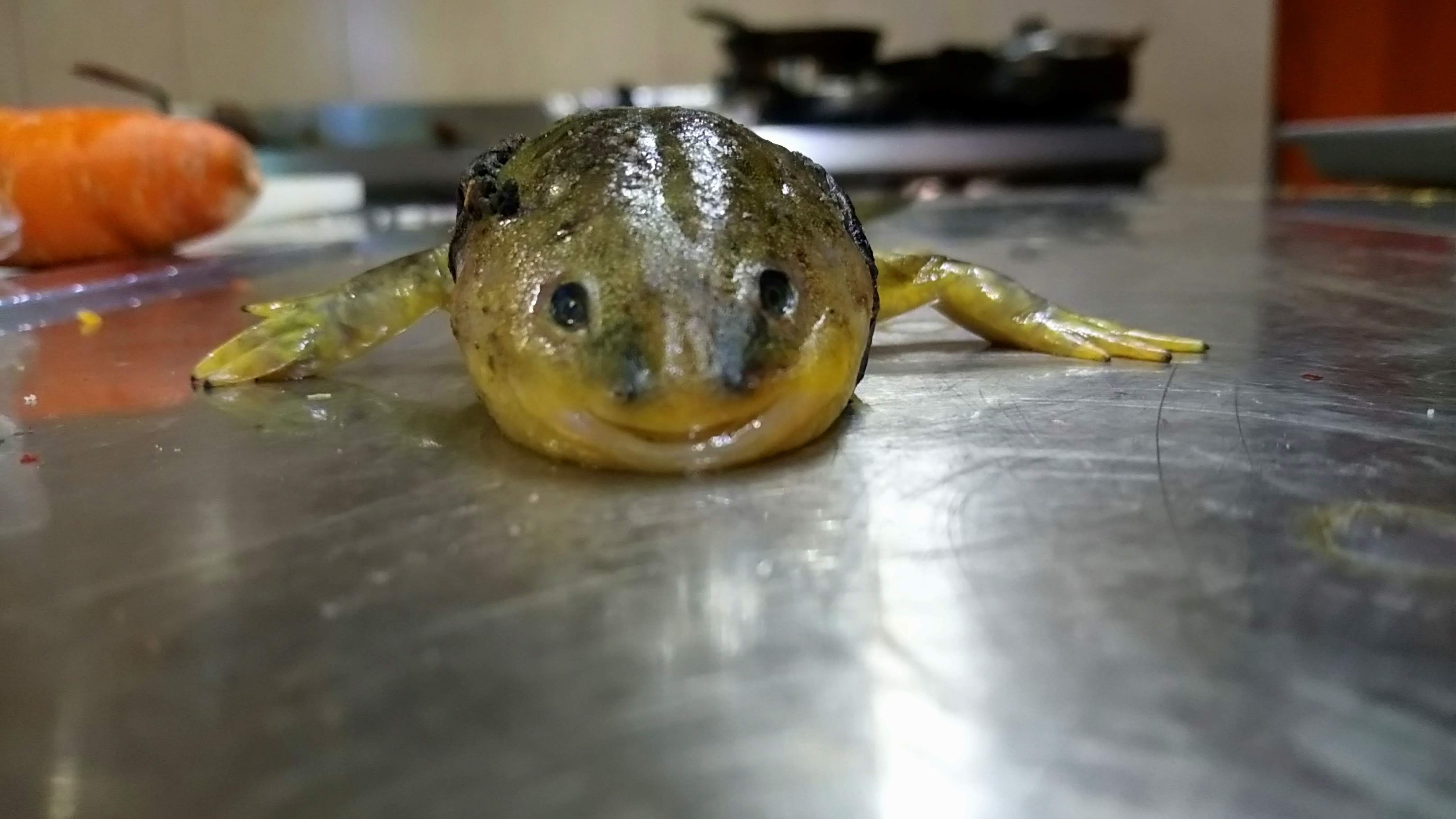 La Casona De Allende image 8