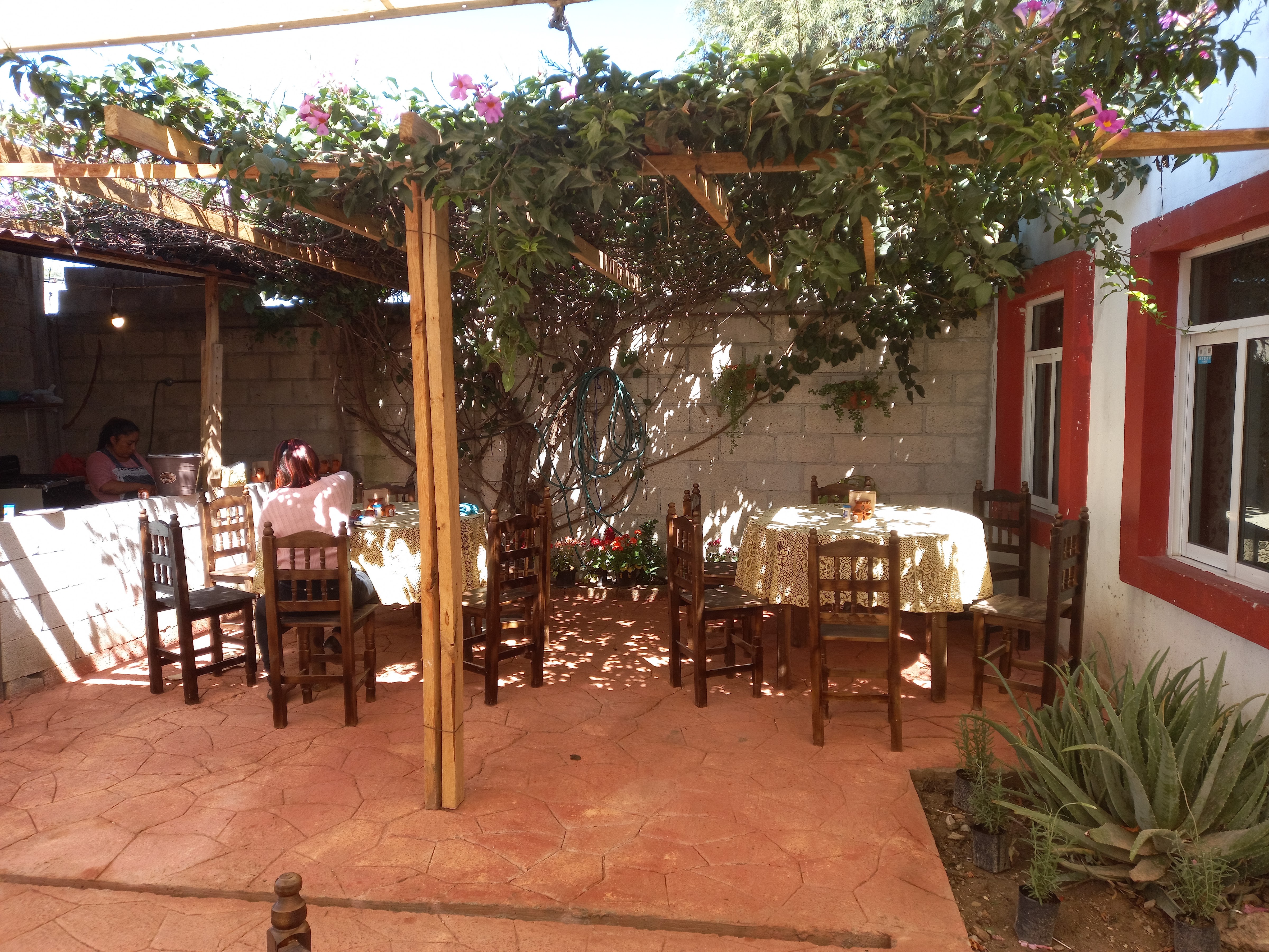 El asadero de atoyatempan image 9