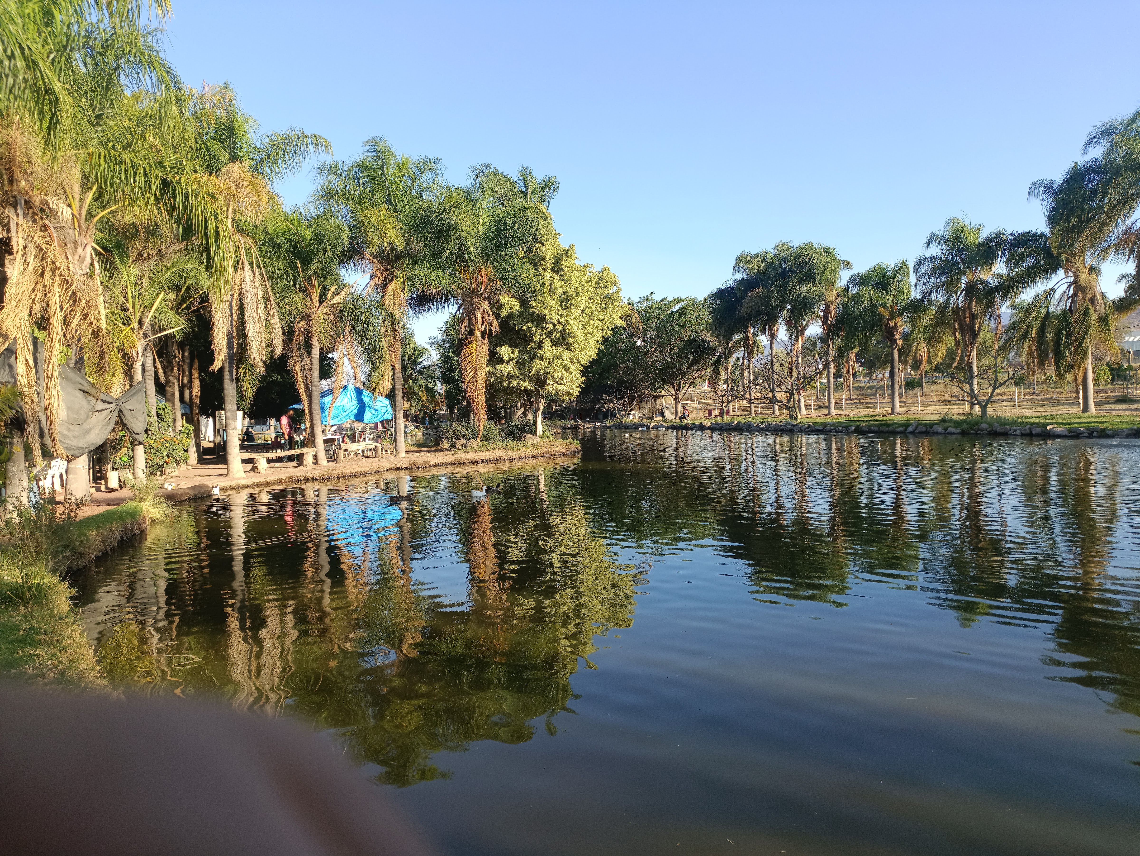 Restaurant Los Cuates image 3