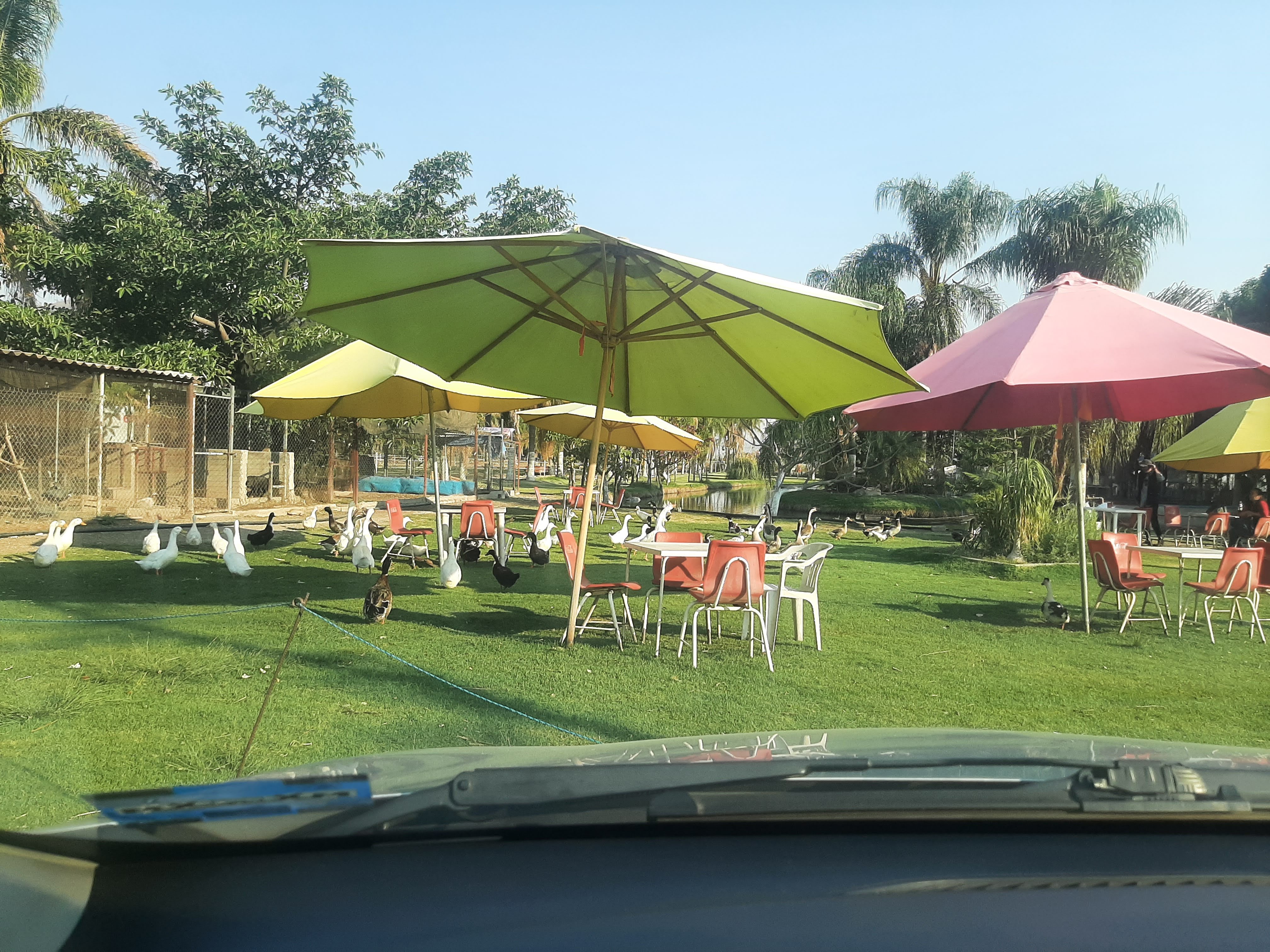 Restaurant Los Cuates image 6