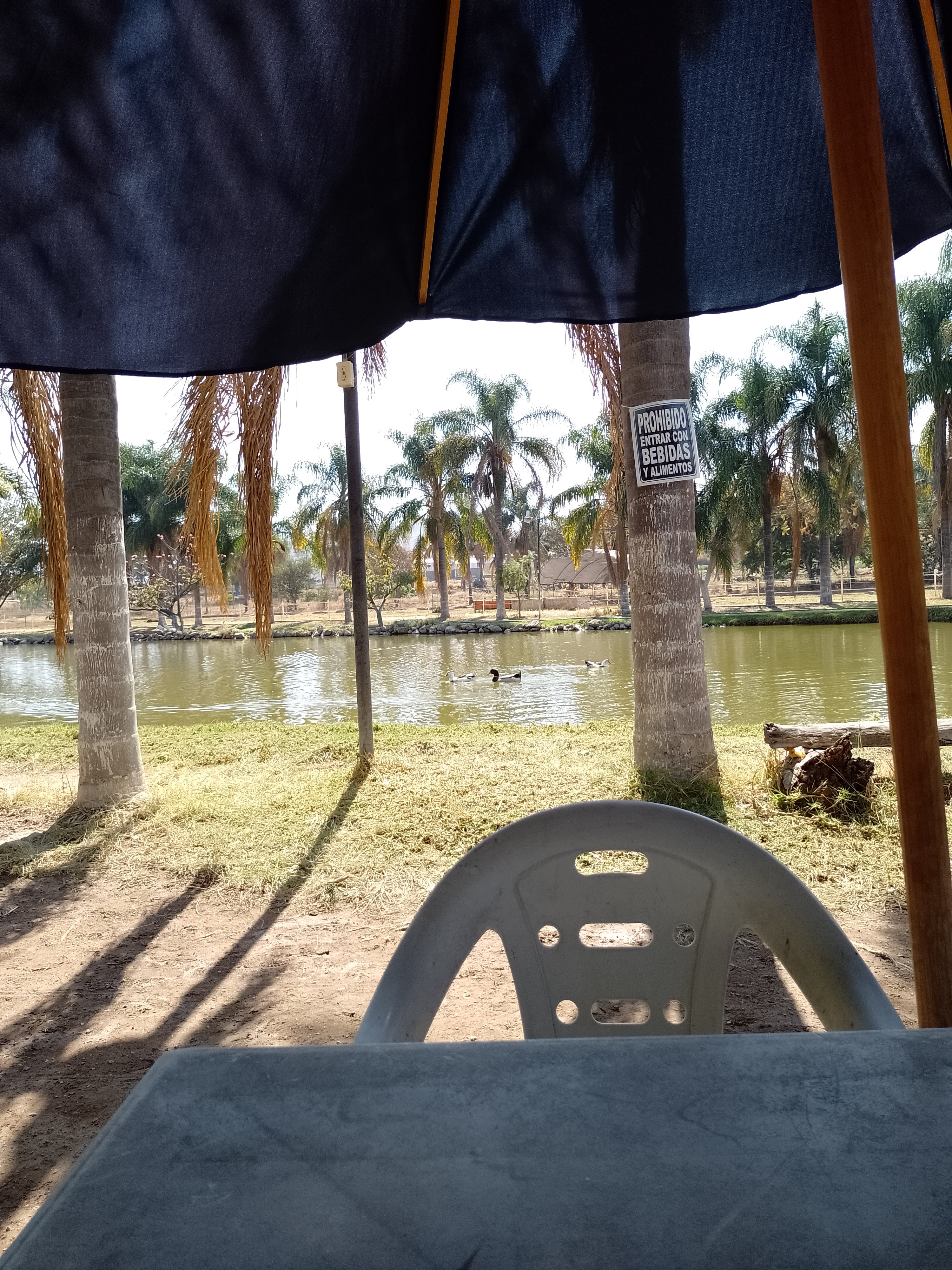 Restaurant Los Cuates image 8