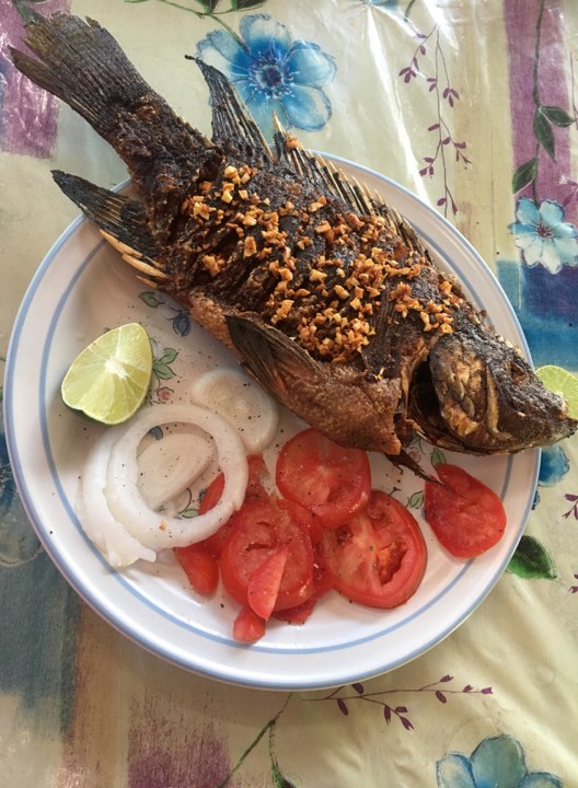 Venta de Tilapia y Restaurant El Buen Pez image 1