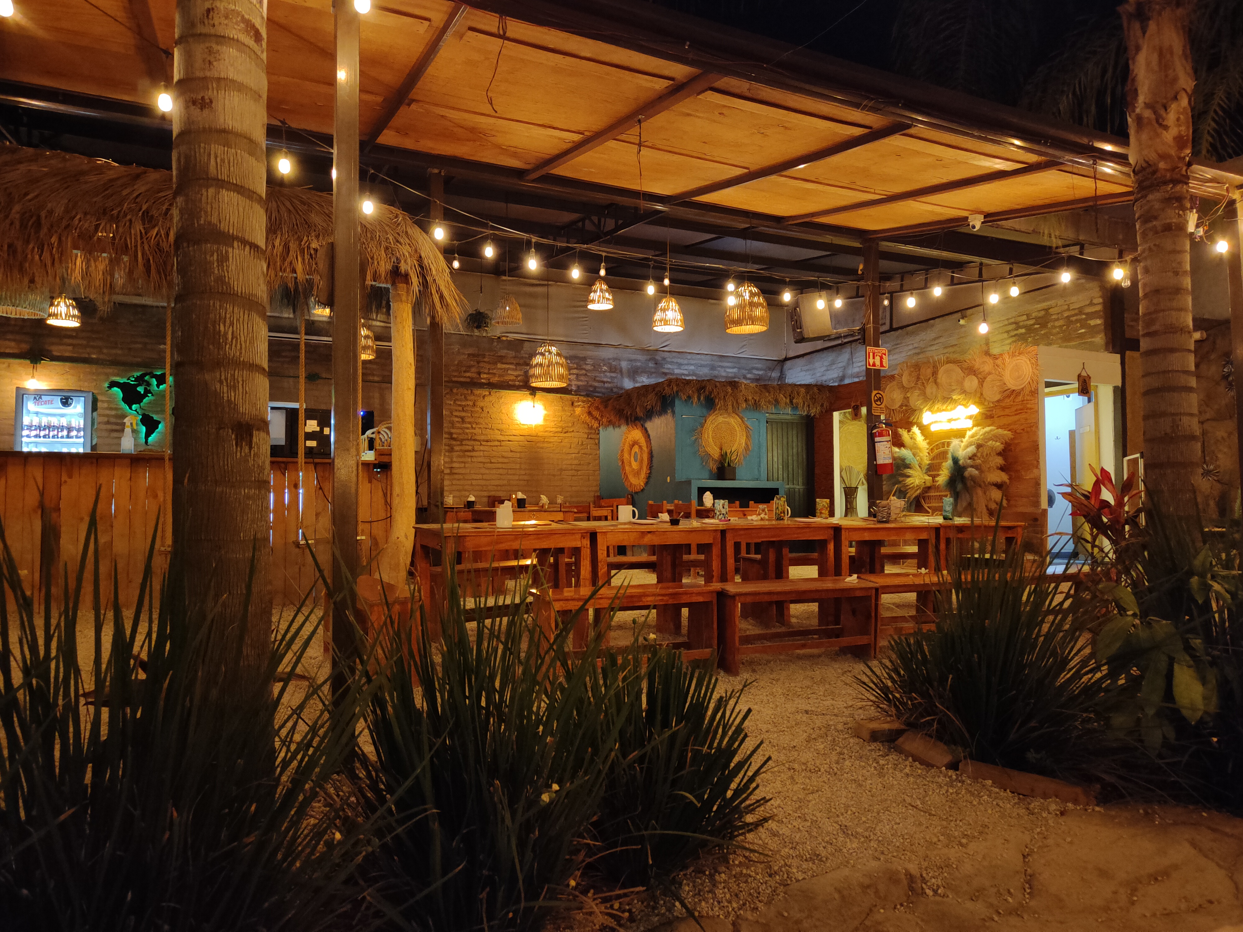 Migrante Pizza (Tesoro) image 6