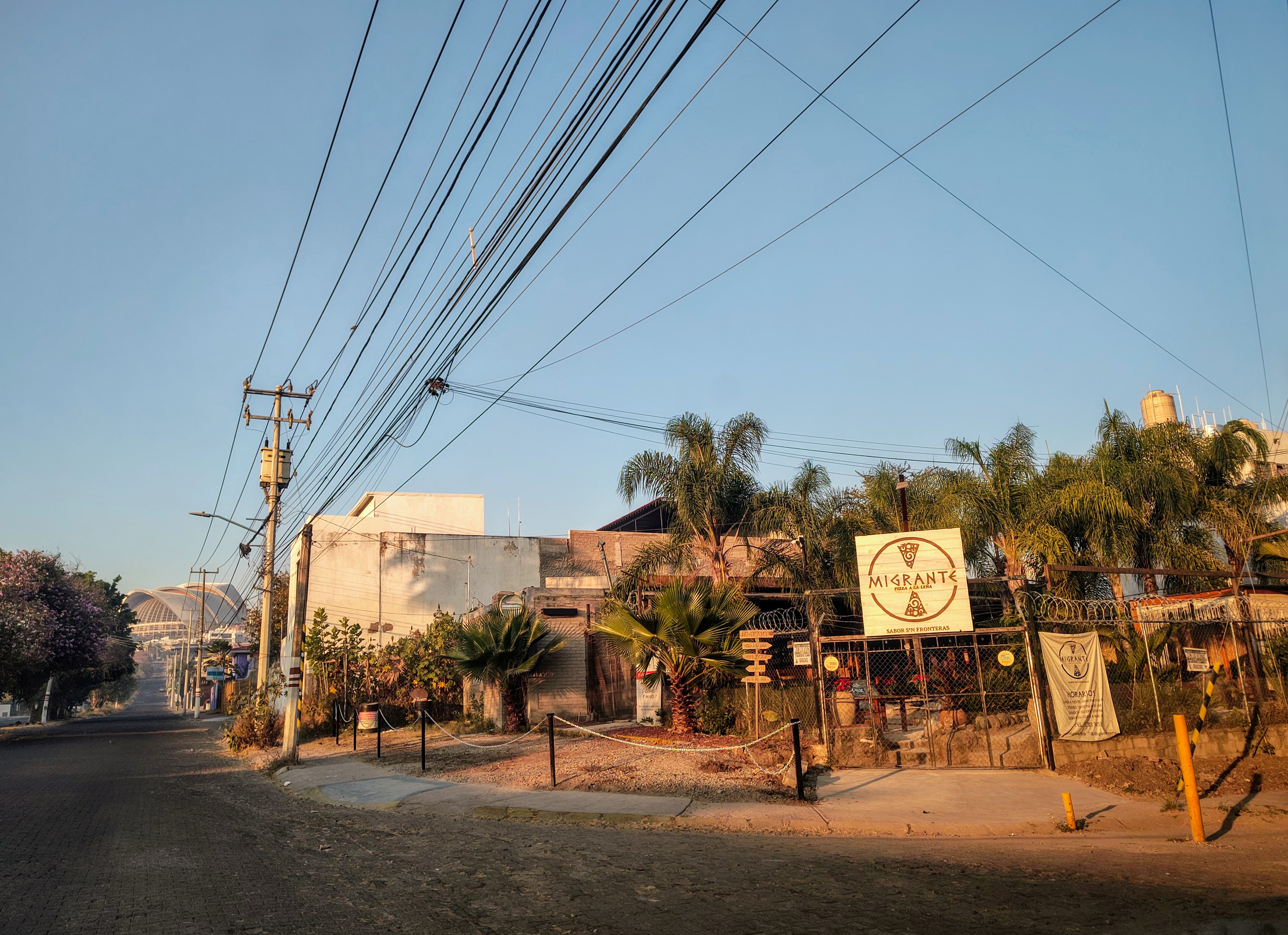 Migrante Pizza (Tesoro) image 10