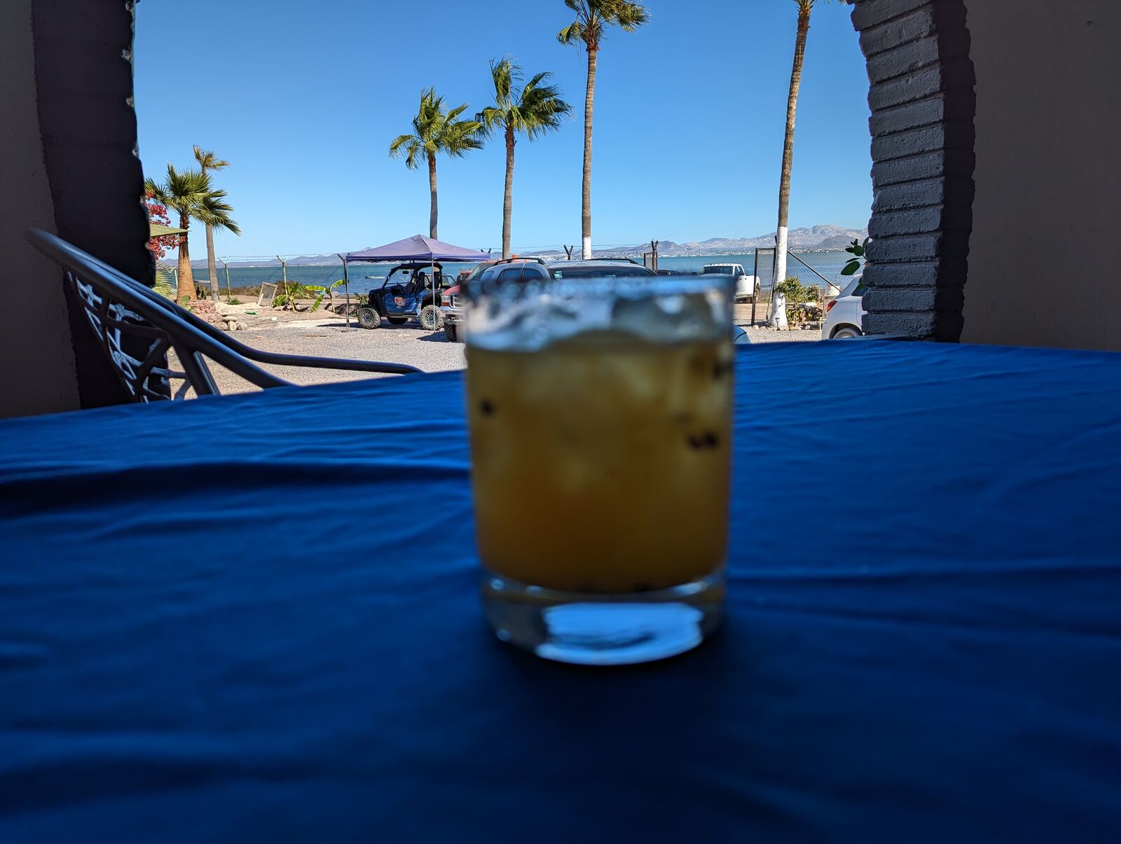 Tiki Todds image 10