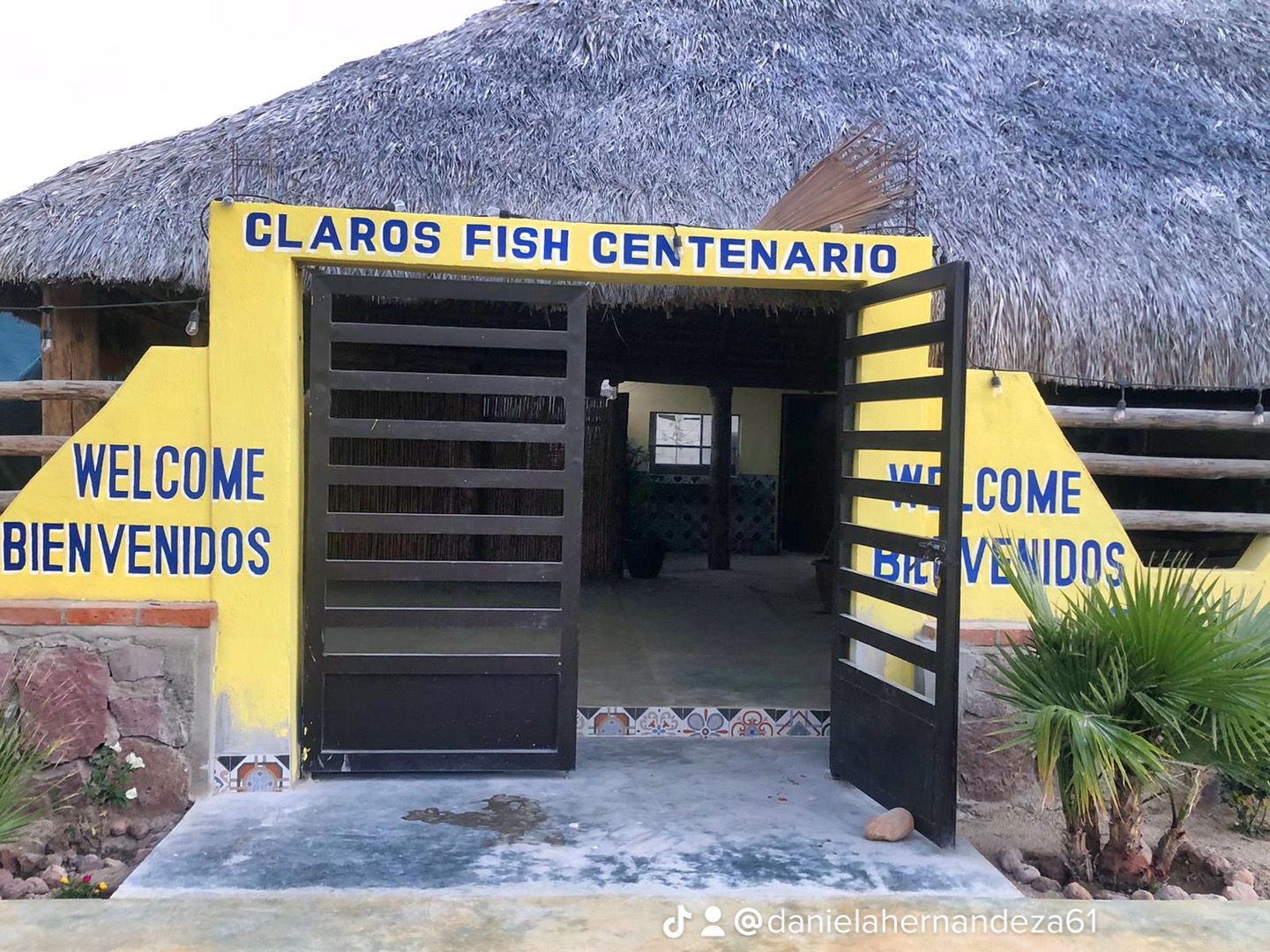 Claros Fish Centenario image 1