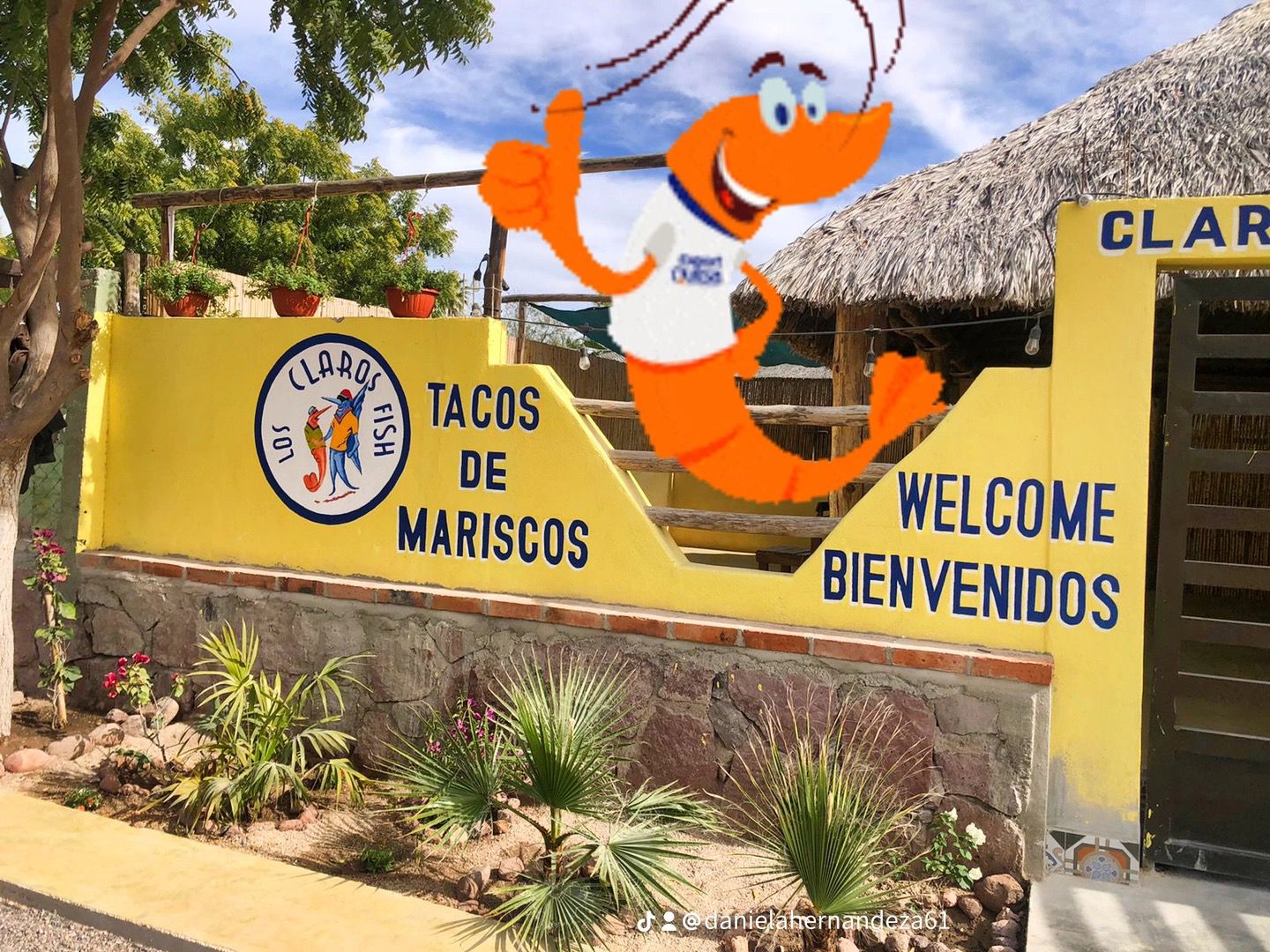 Claros Fish Centenario image 9