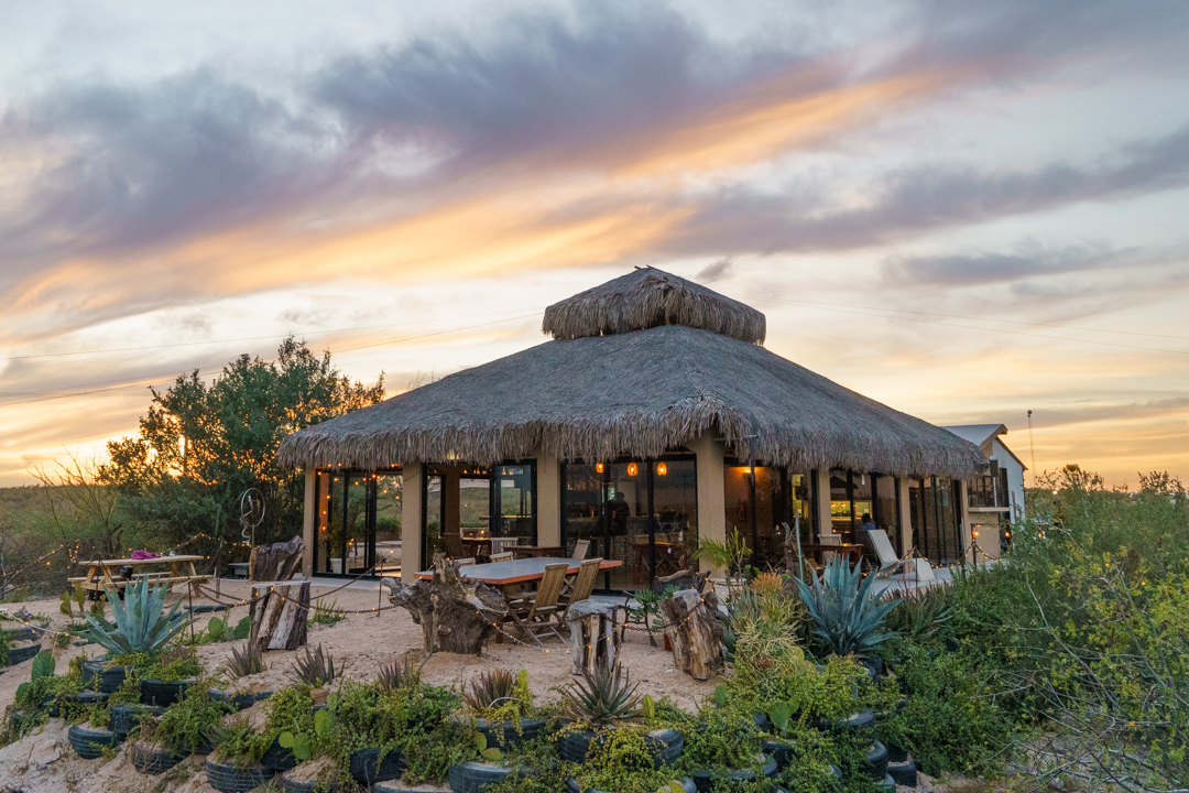 Arrivo Cocina Salvaje image 4