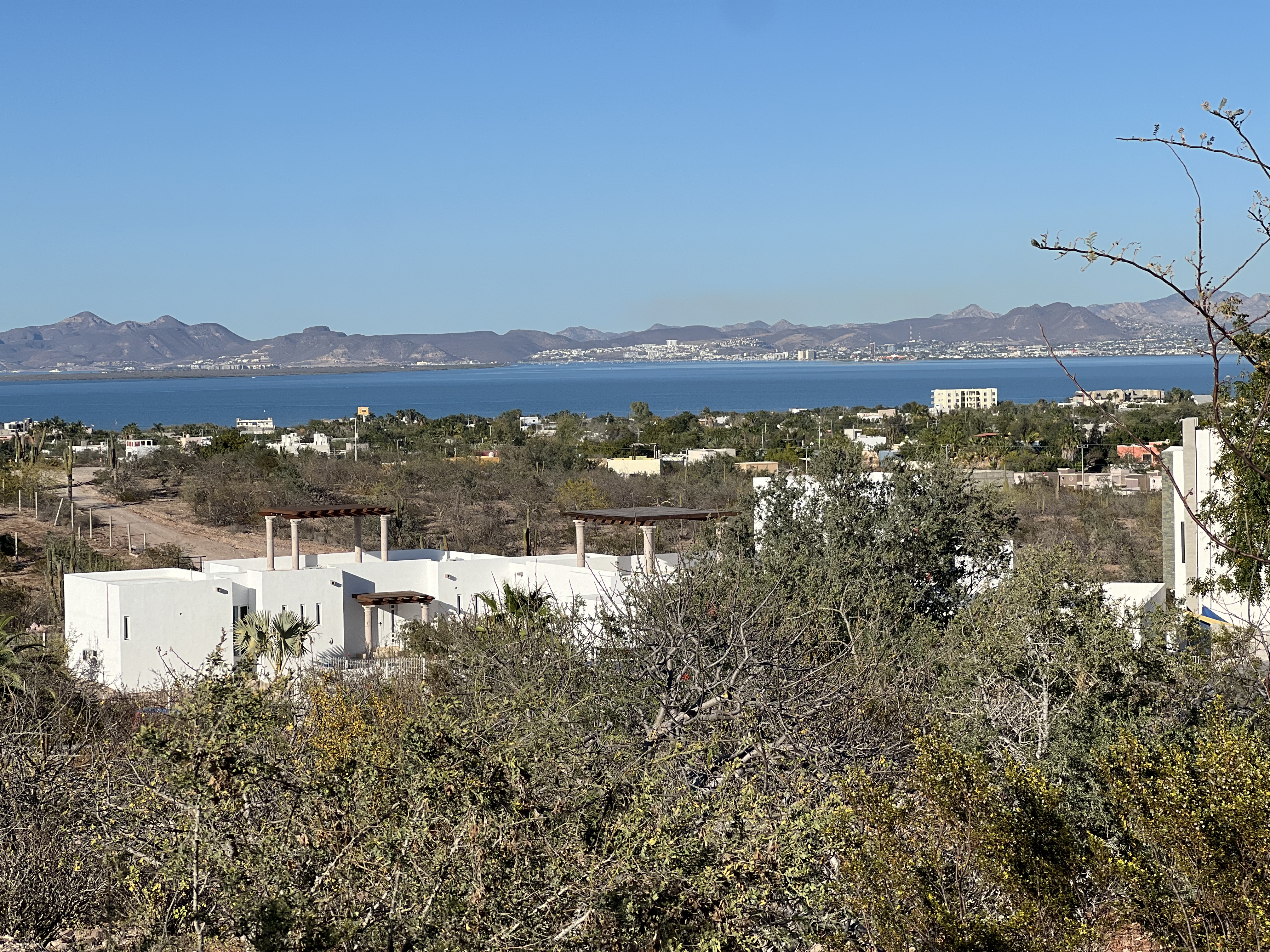 Arrivo Cocina Salvaje image 5