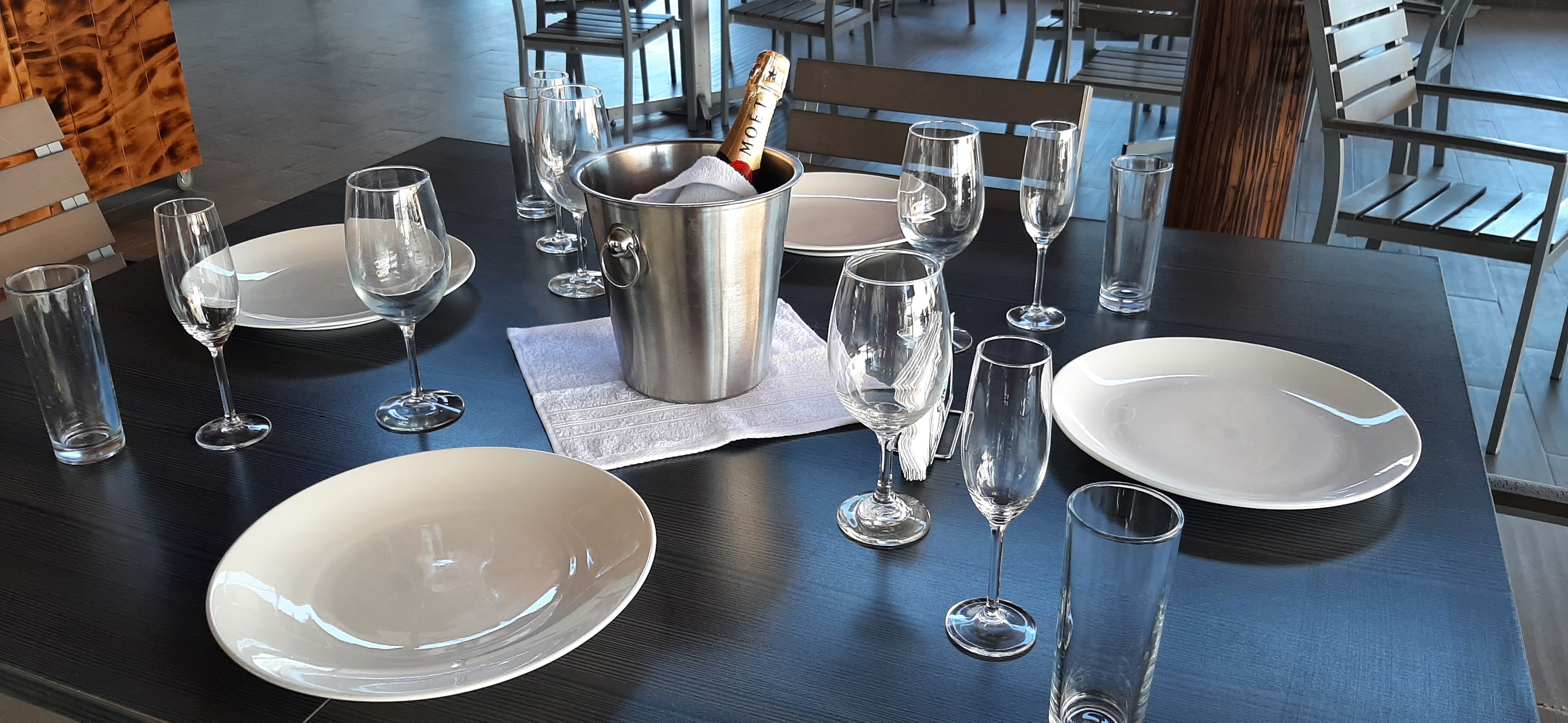 Baja Pelican image 1