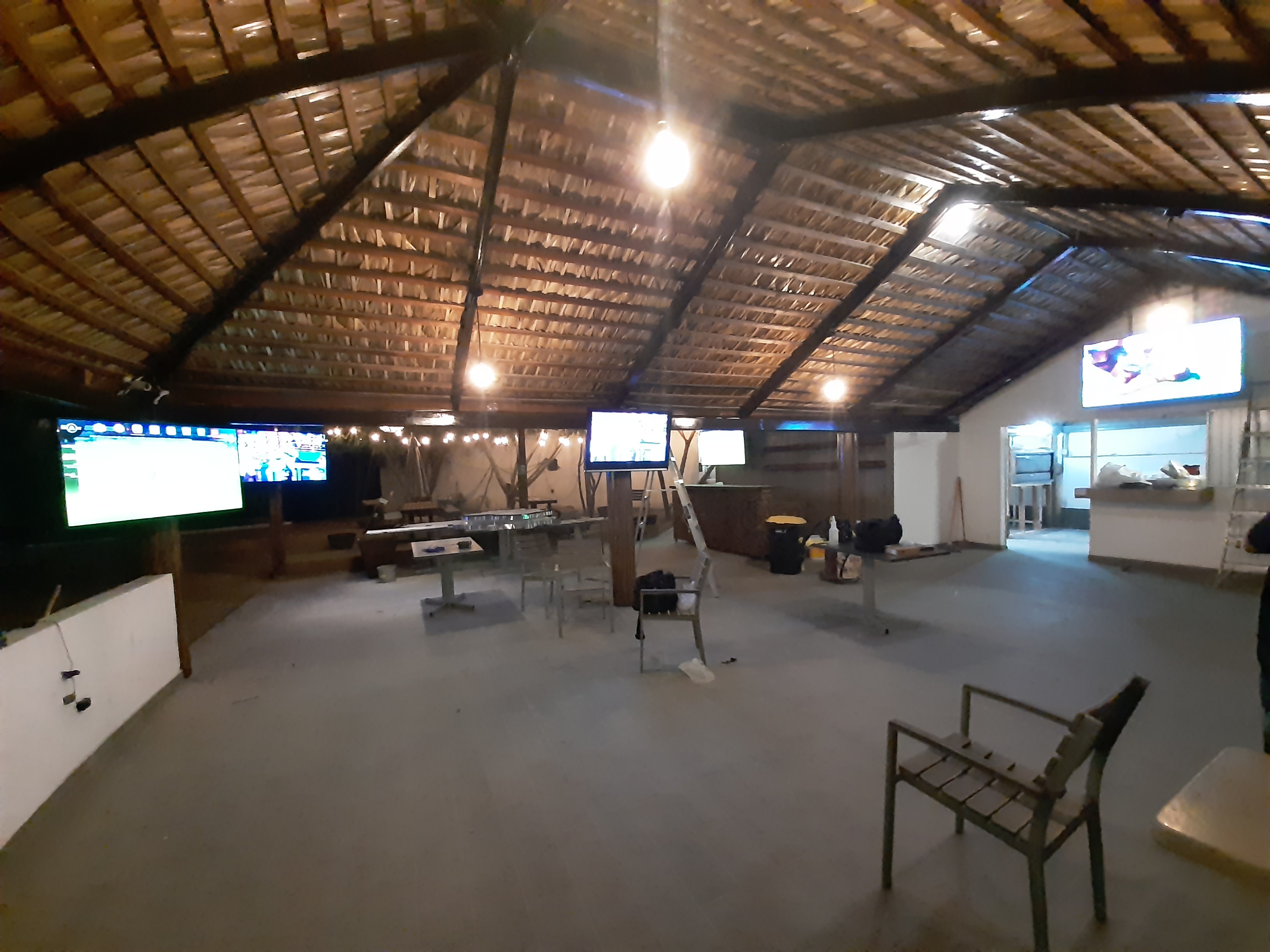 Baja Pelican image 4