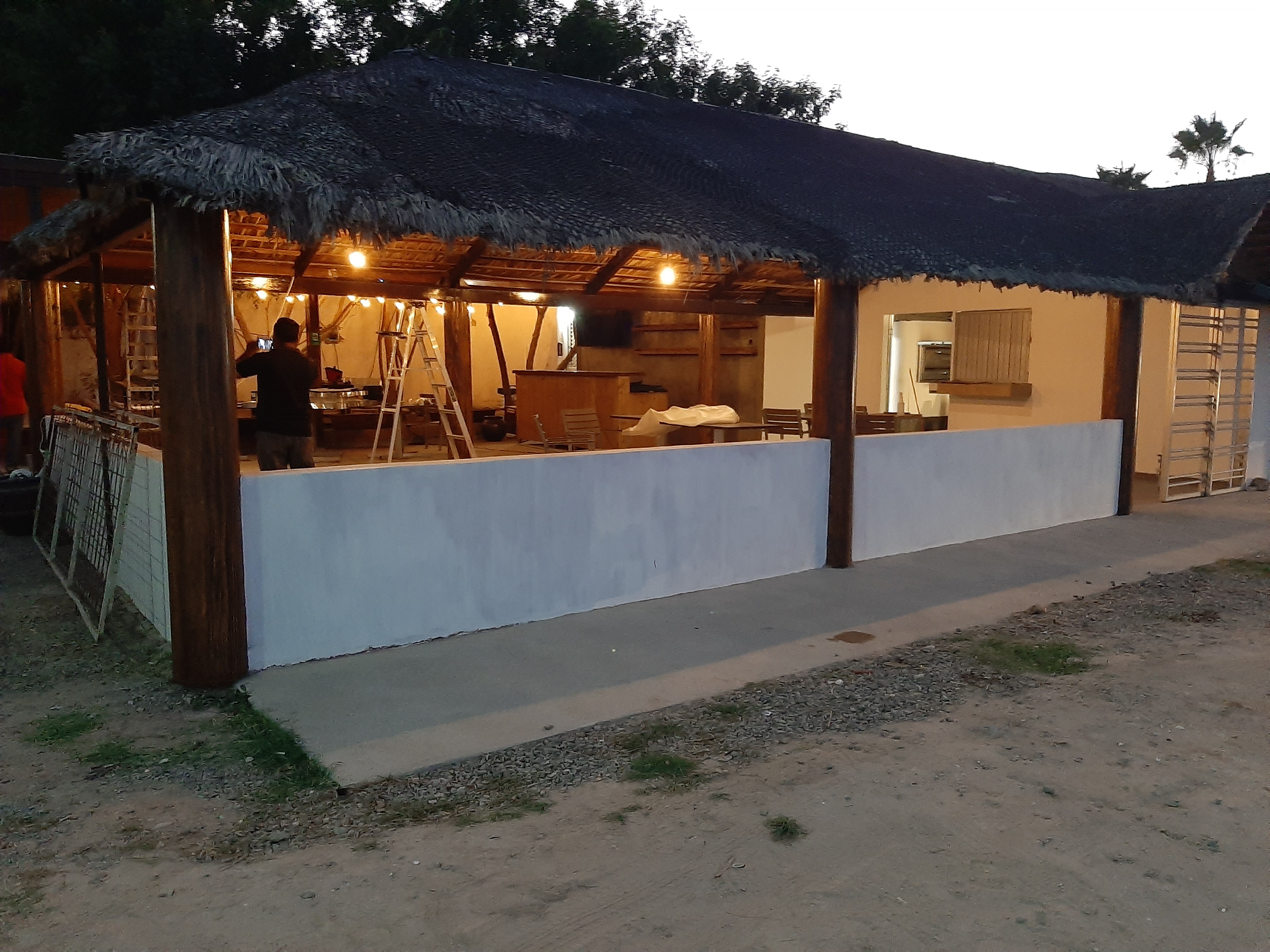 Baja Pelican image 5