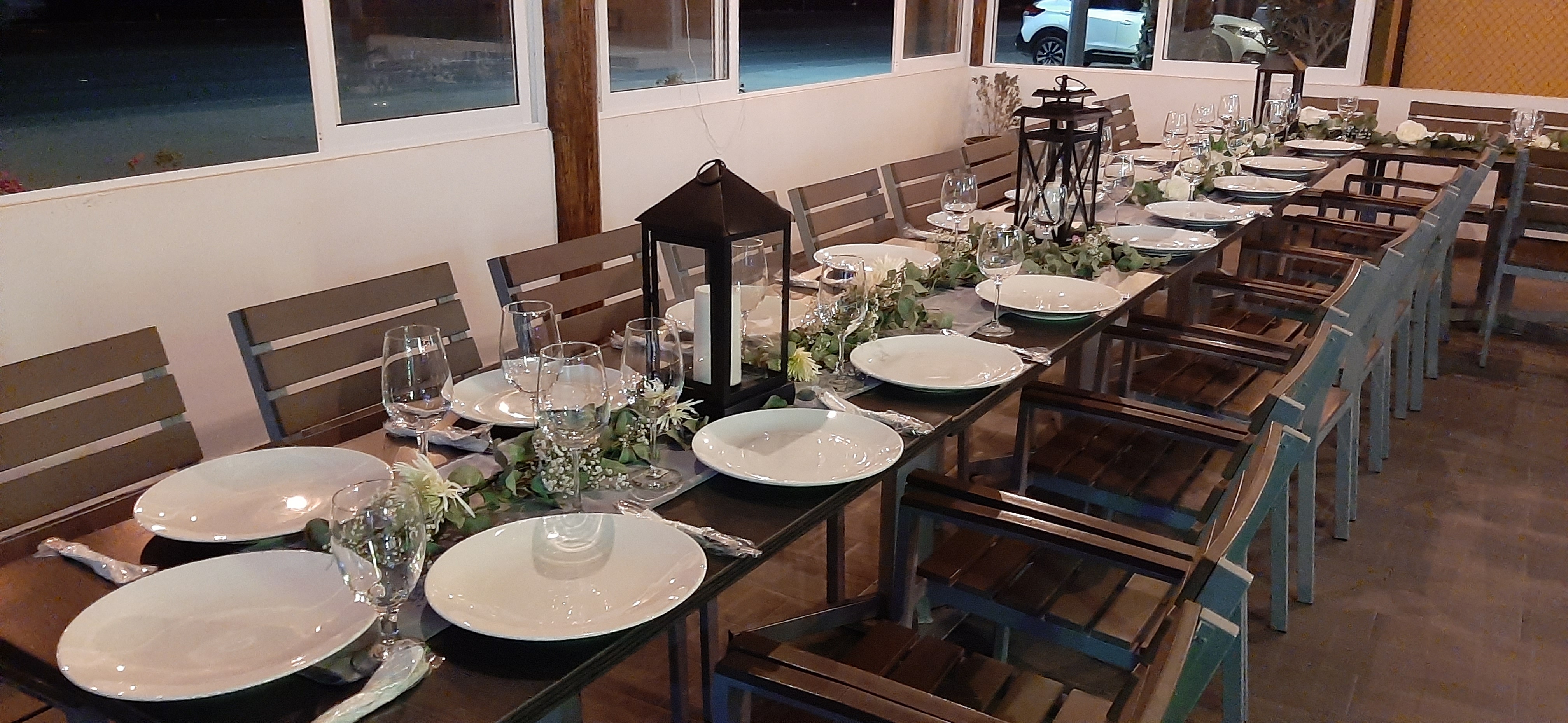 Baja Pelican image 9