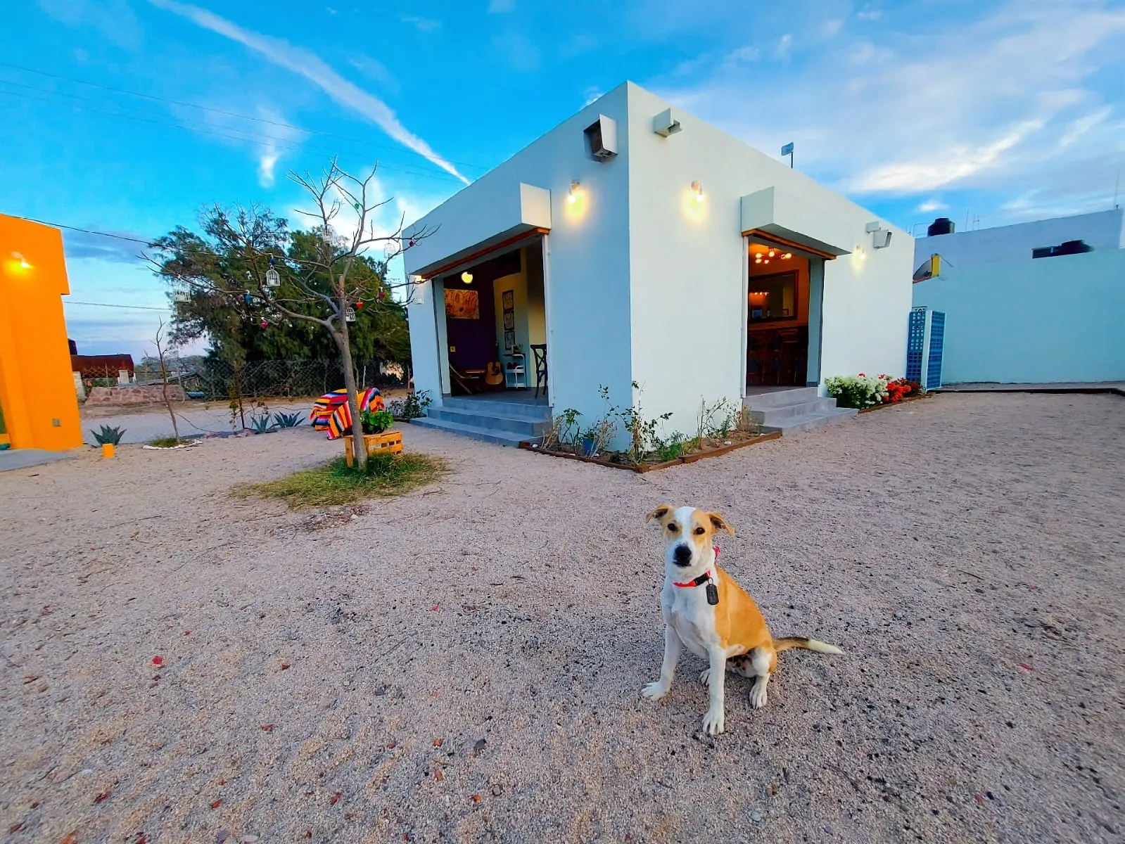 finca lalola image 1