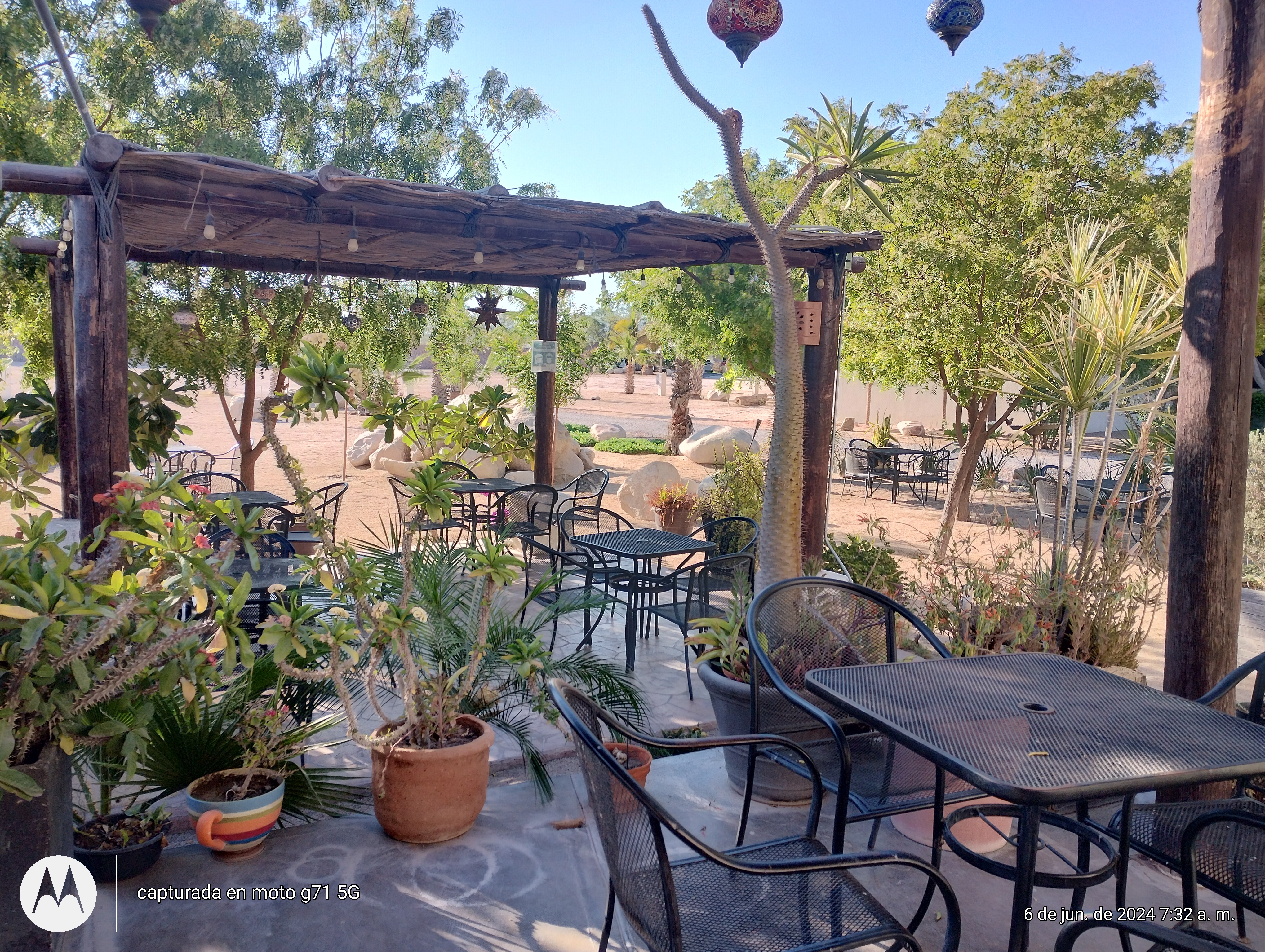 Cafe Exquisito Centenario image 1