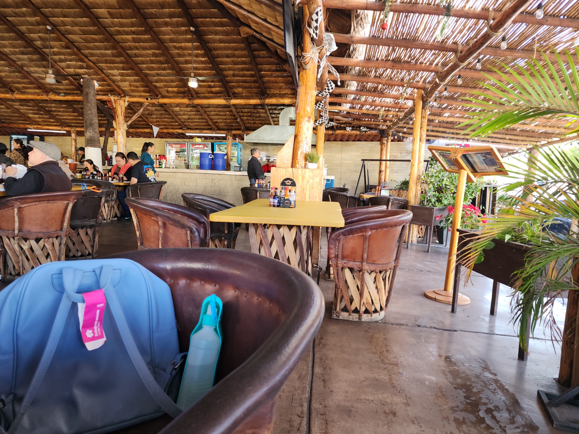 Claros Fish Jr. image 2