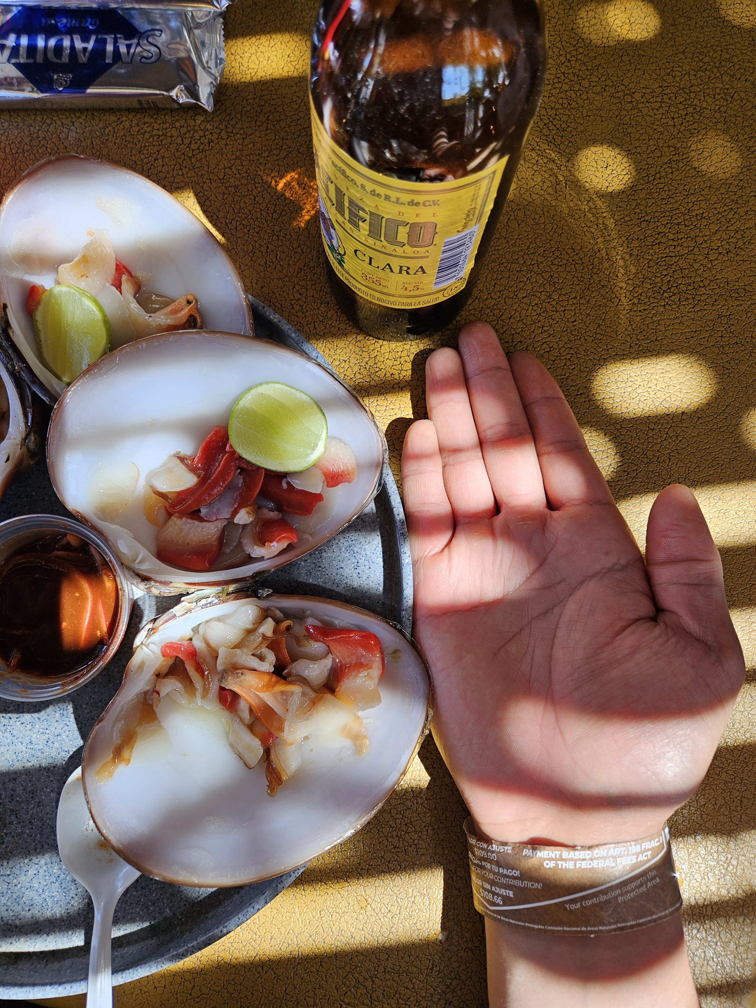 Claros Fish Jr. image 6