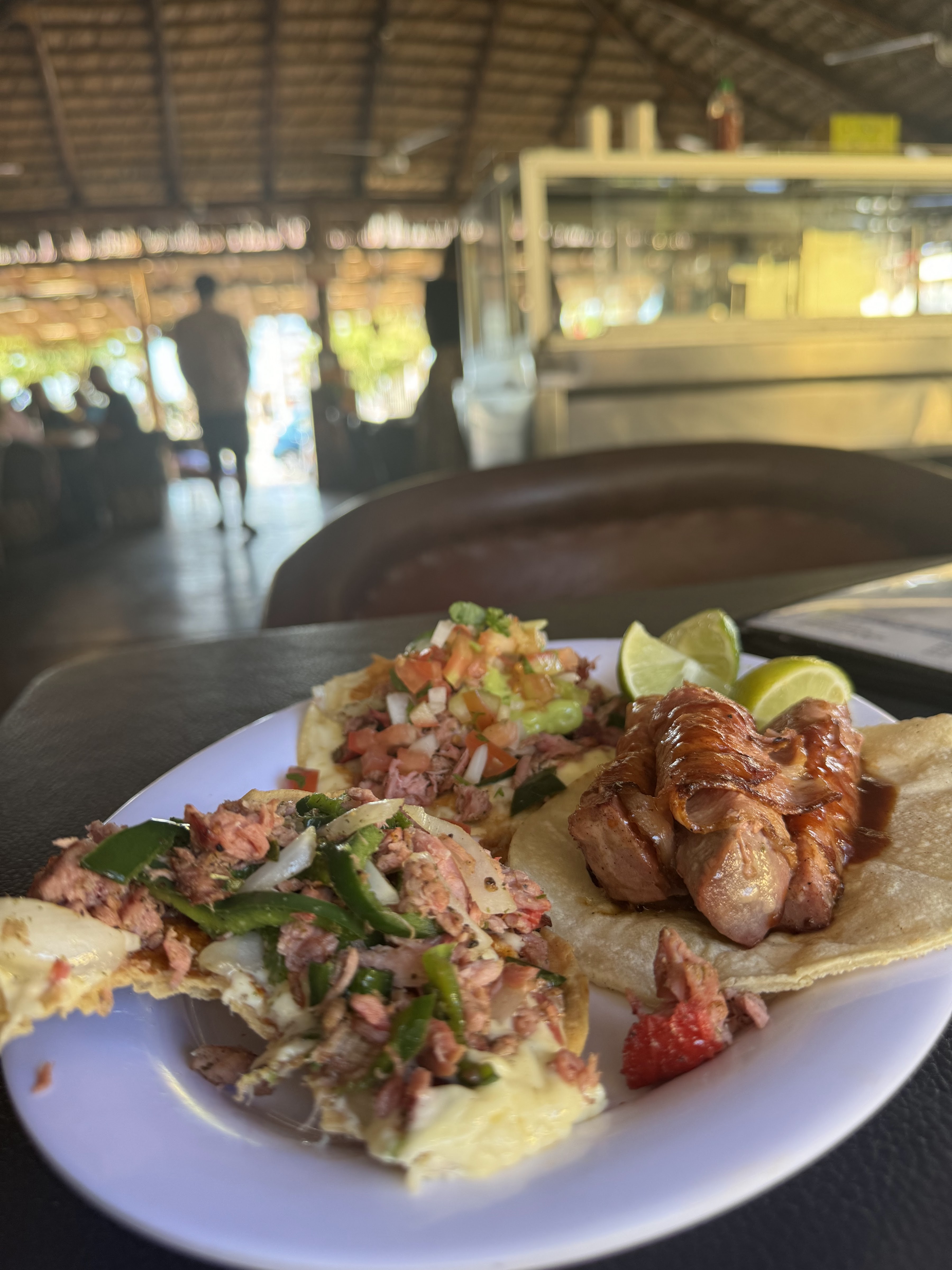 Claros Fish Jr. image 7