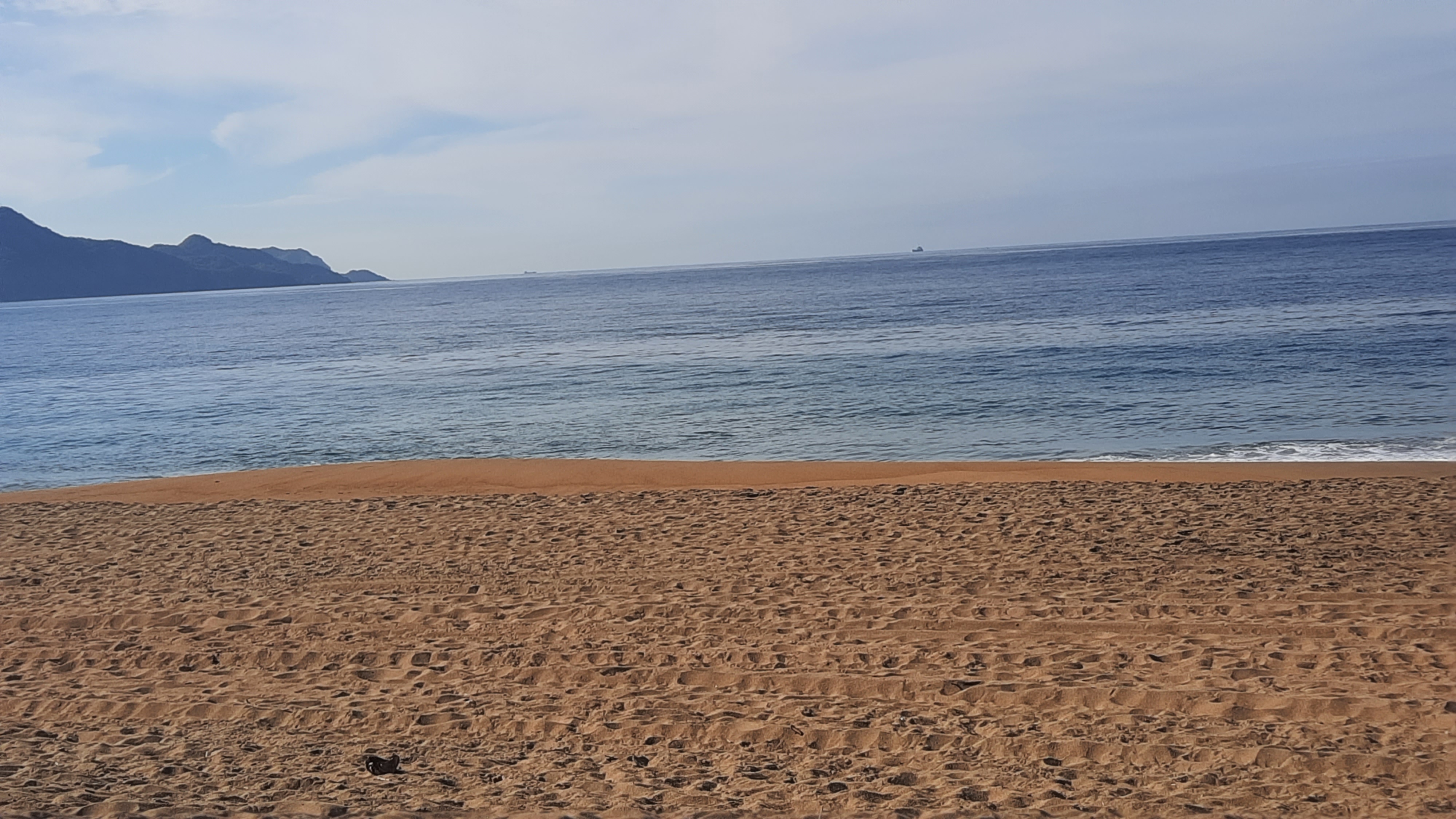 Restaurante Bigotes 2 image 6