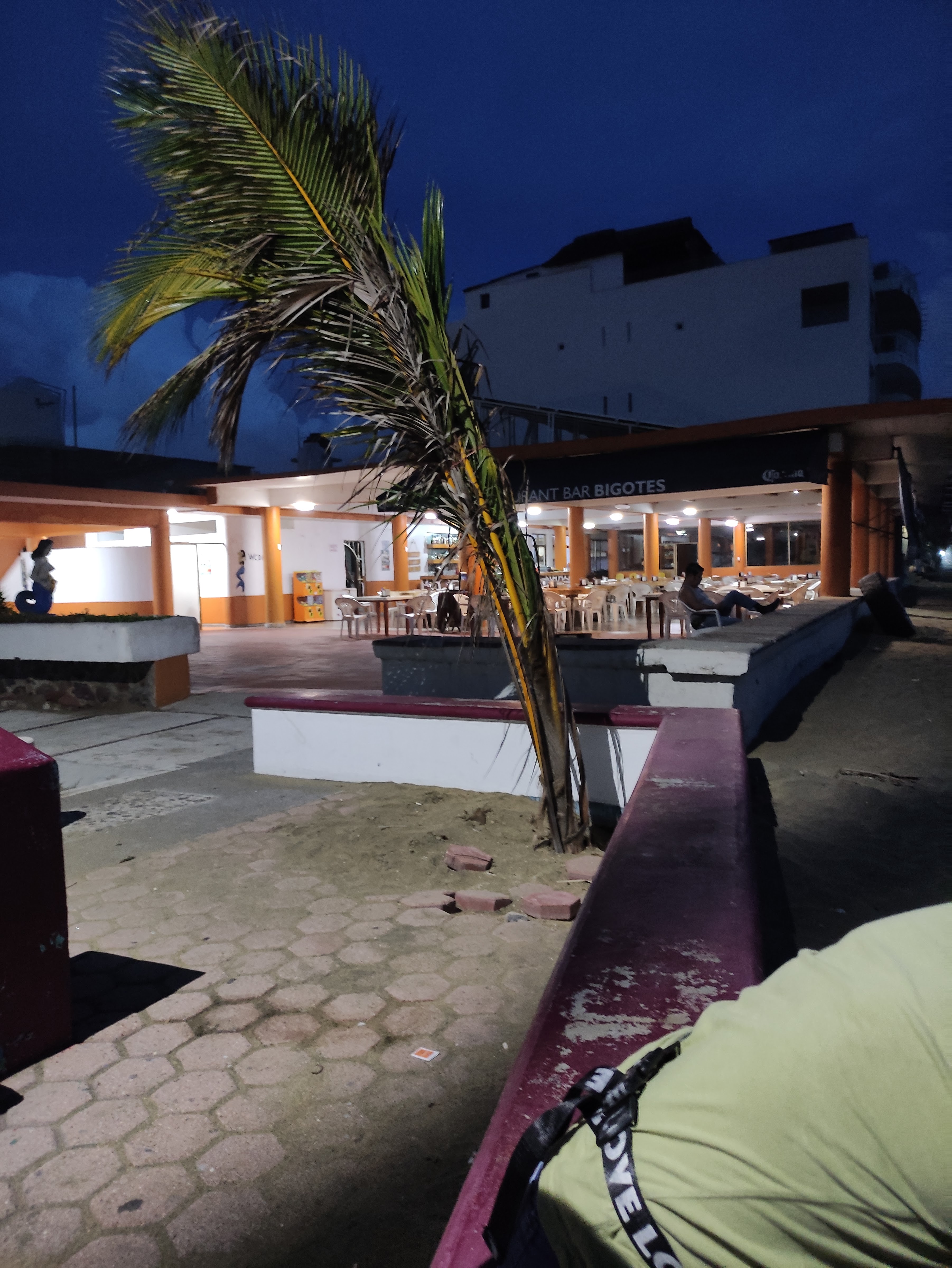 Restaurante Bigotes 2 image 8