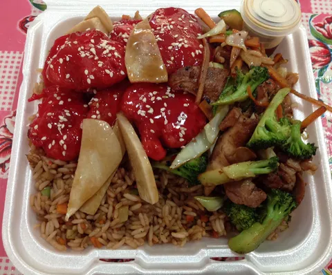 Comida china weiler sosa image 6