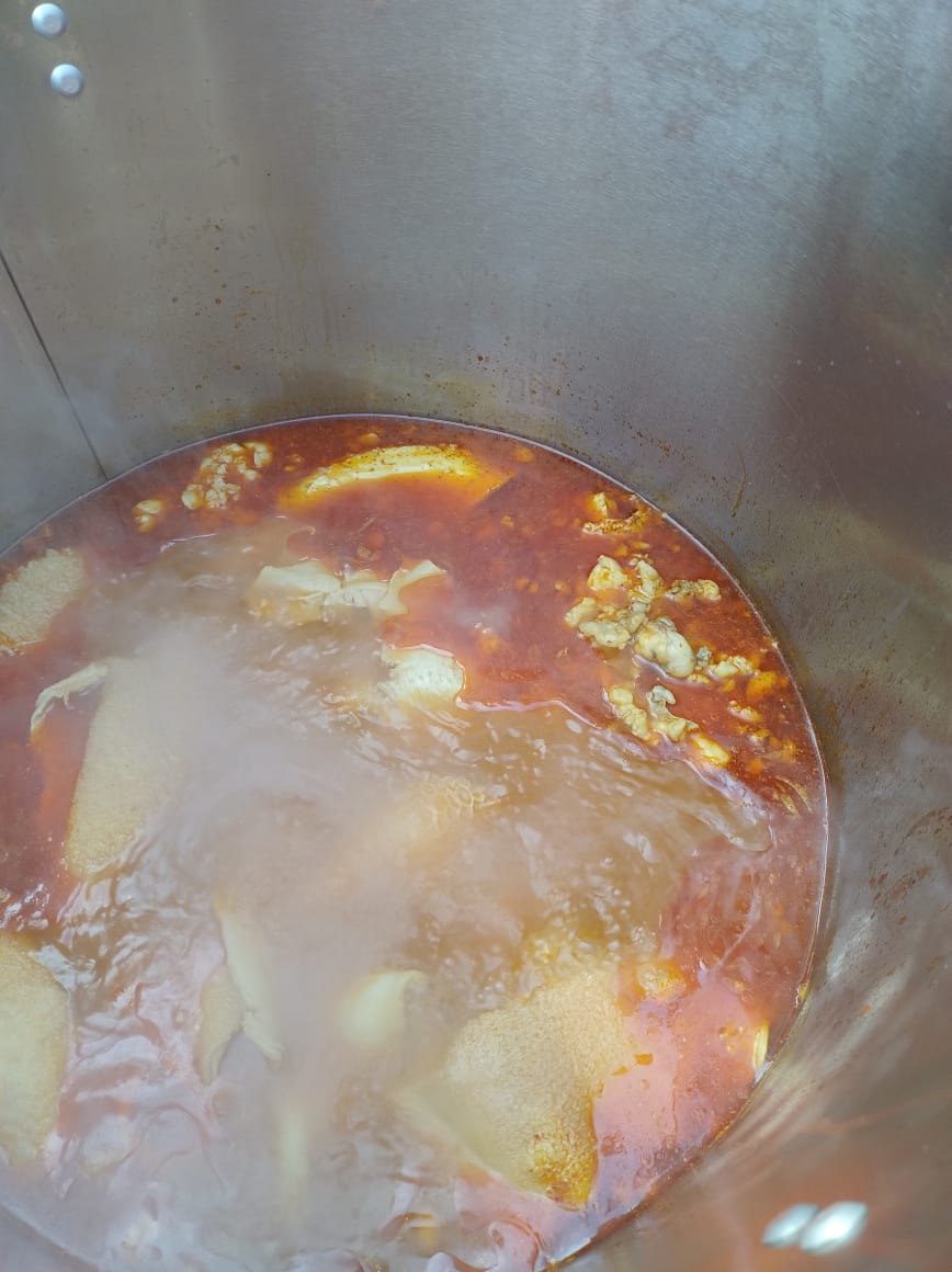 Menuderia sigala image 3