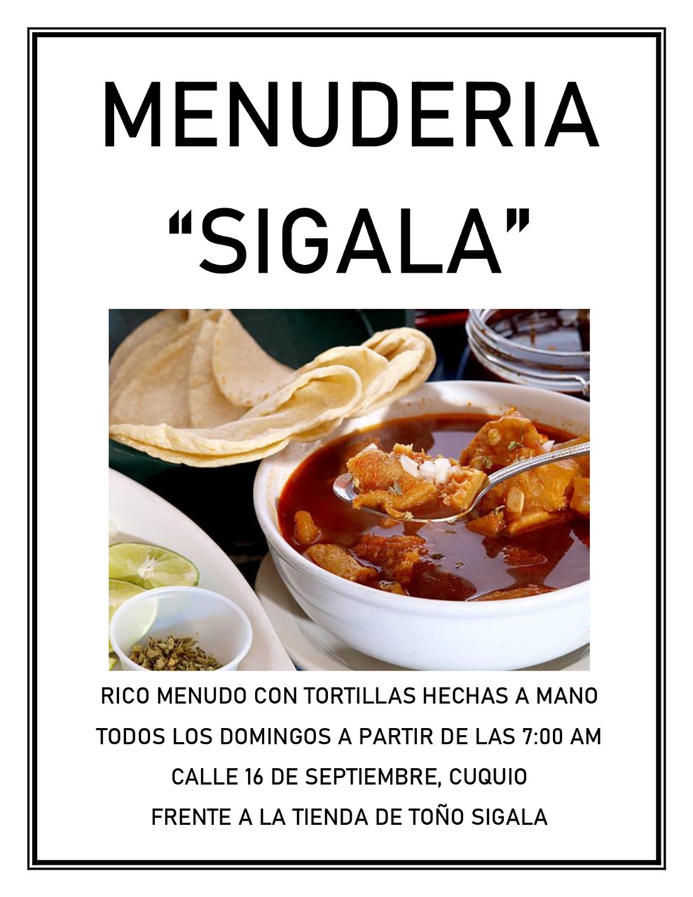 Menuderia sigala image 7