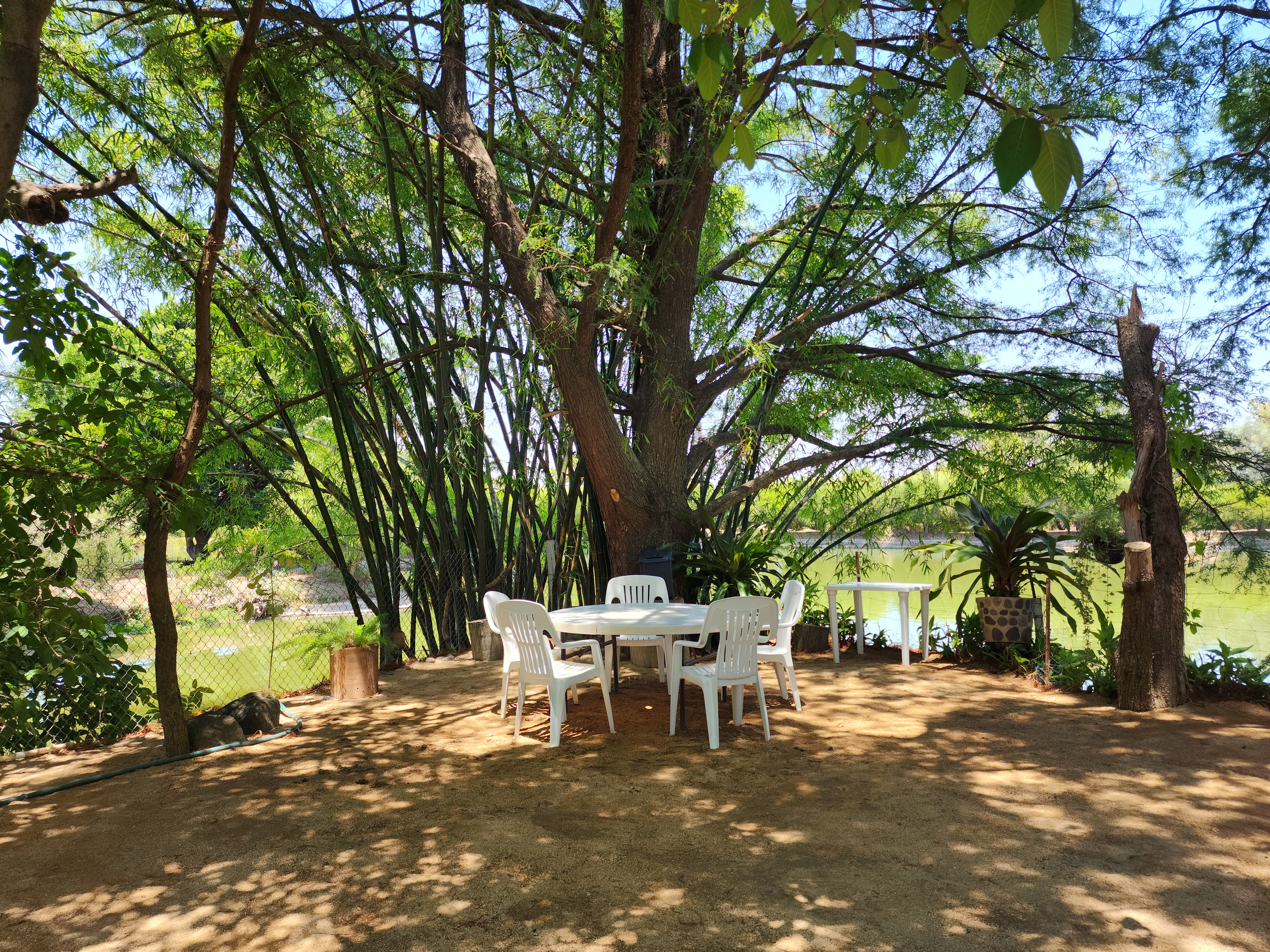 Restaurante Mesón Real image 5